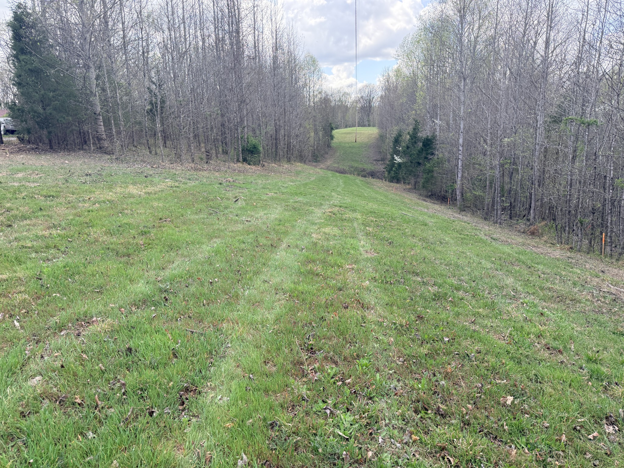 Homes for sale in Liberty, TN | 0 Sugar Tree Knob Rd, Liberty, TN 37095 | MLS# 3200084