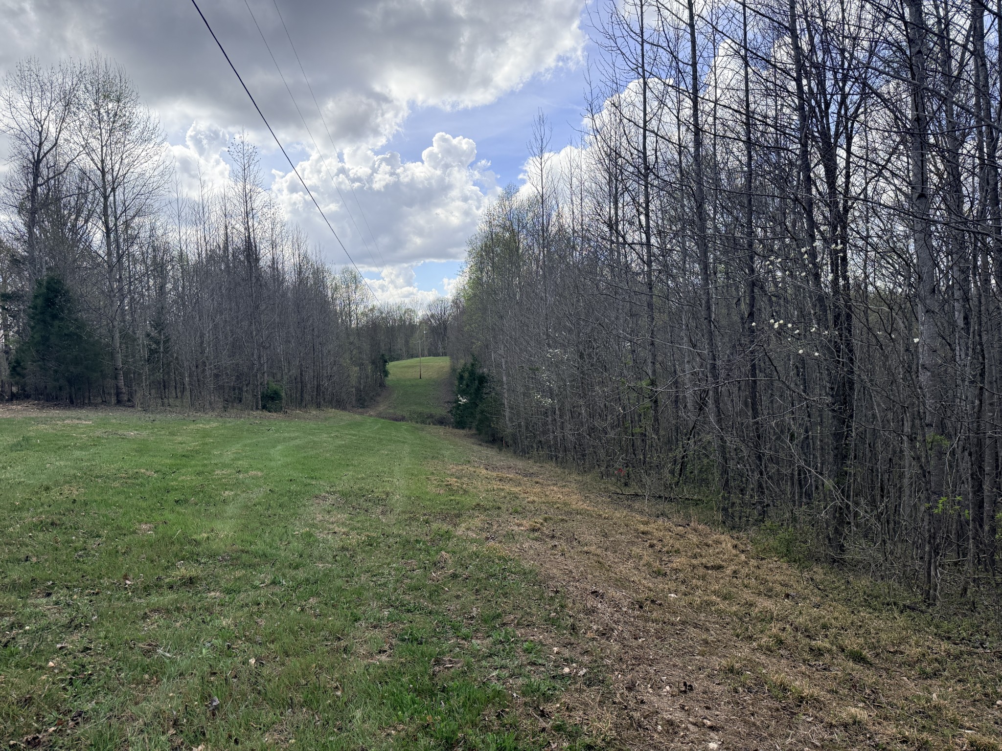 Homes for sale in Liberty, TN | 0 Sugar Tree Knob Rd, Liberty, TN 37095 | MLS# 3200084