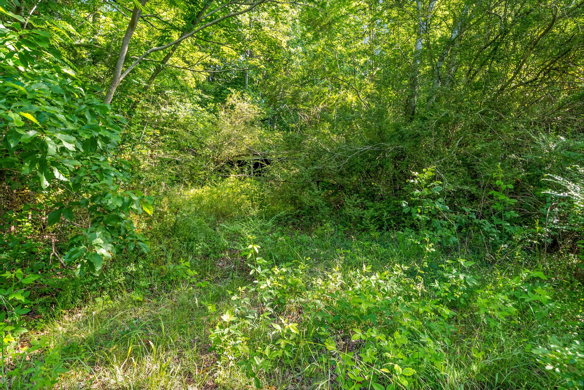Homes for sale in Ashland City, TN | 1010 Saddle Tree Rd, Ashland City, TN 37015 | MLS# 3216248