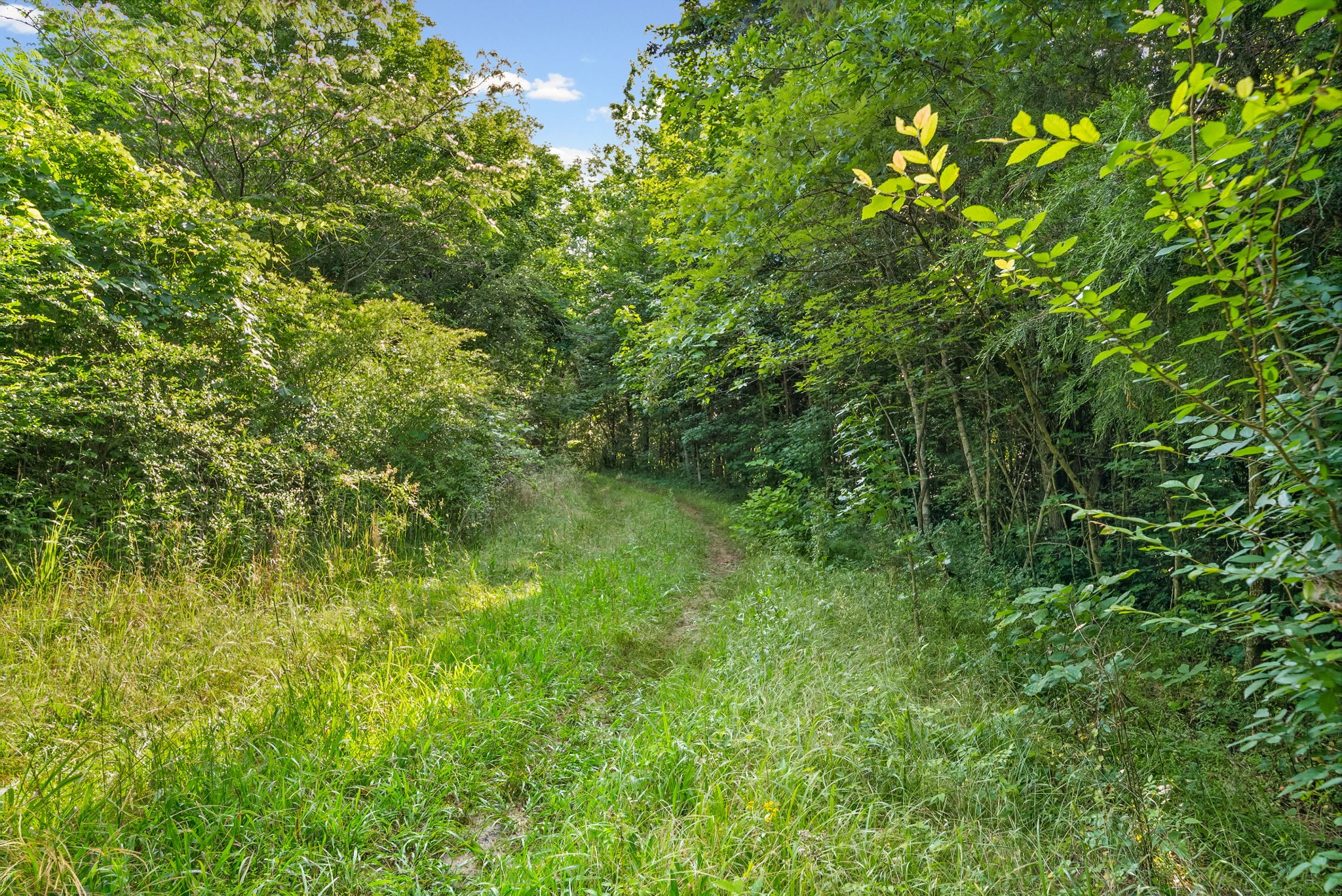 Homes for sale in Ashland City, TN | 1010 Saddle Tree Rd, Ashland City, TN 37015 | MLS# 3216248