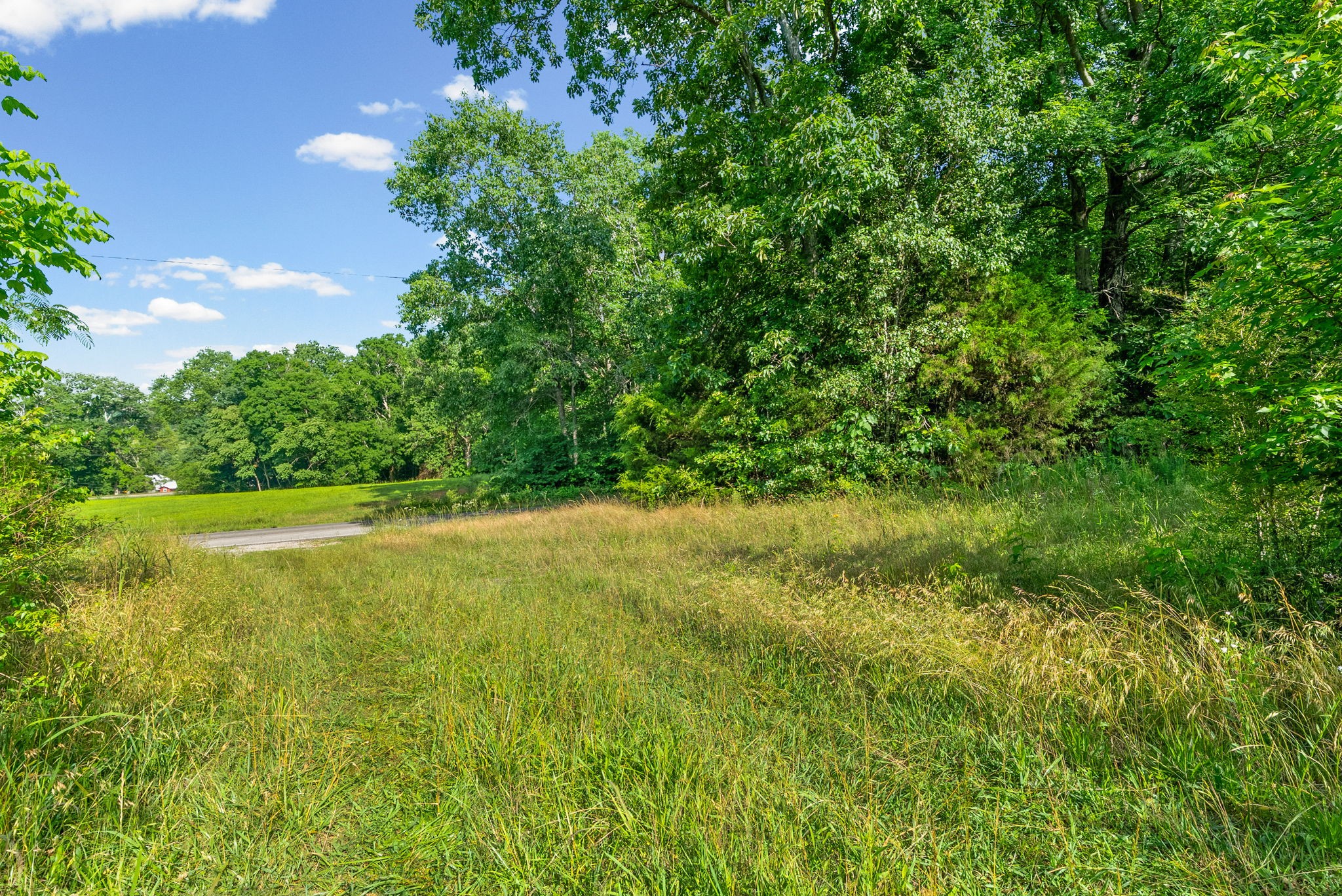 Homes for sale in Ashland City, TN | 1010 Saddle Tree Rd, Ashland City, TN 37015 | MLS# 3216248
