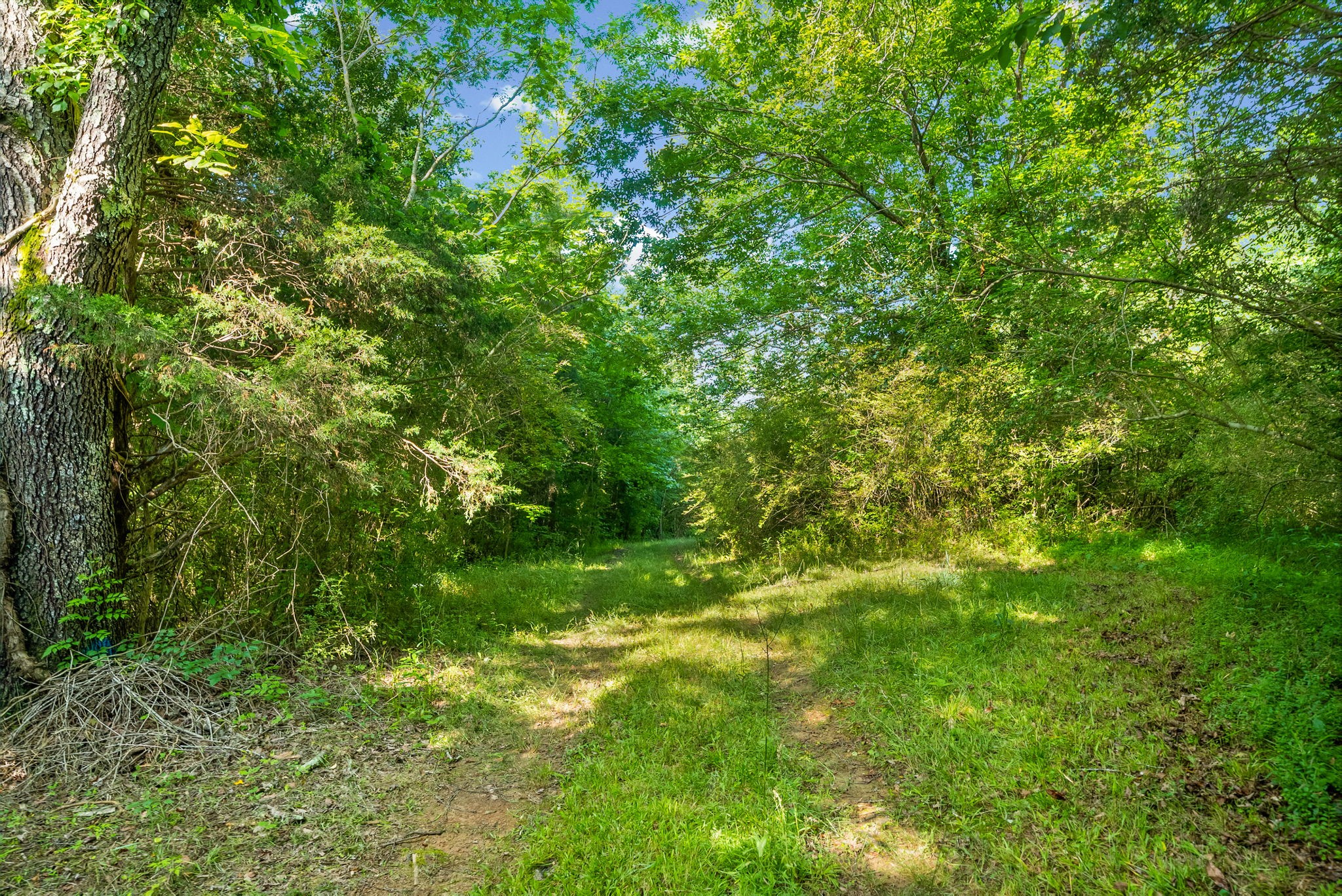 Homes for sale in Ashland City, TN | 1010 Saddle Tree Rd, Ashland City, TN 37015 | MLS# 3216248