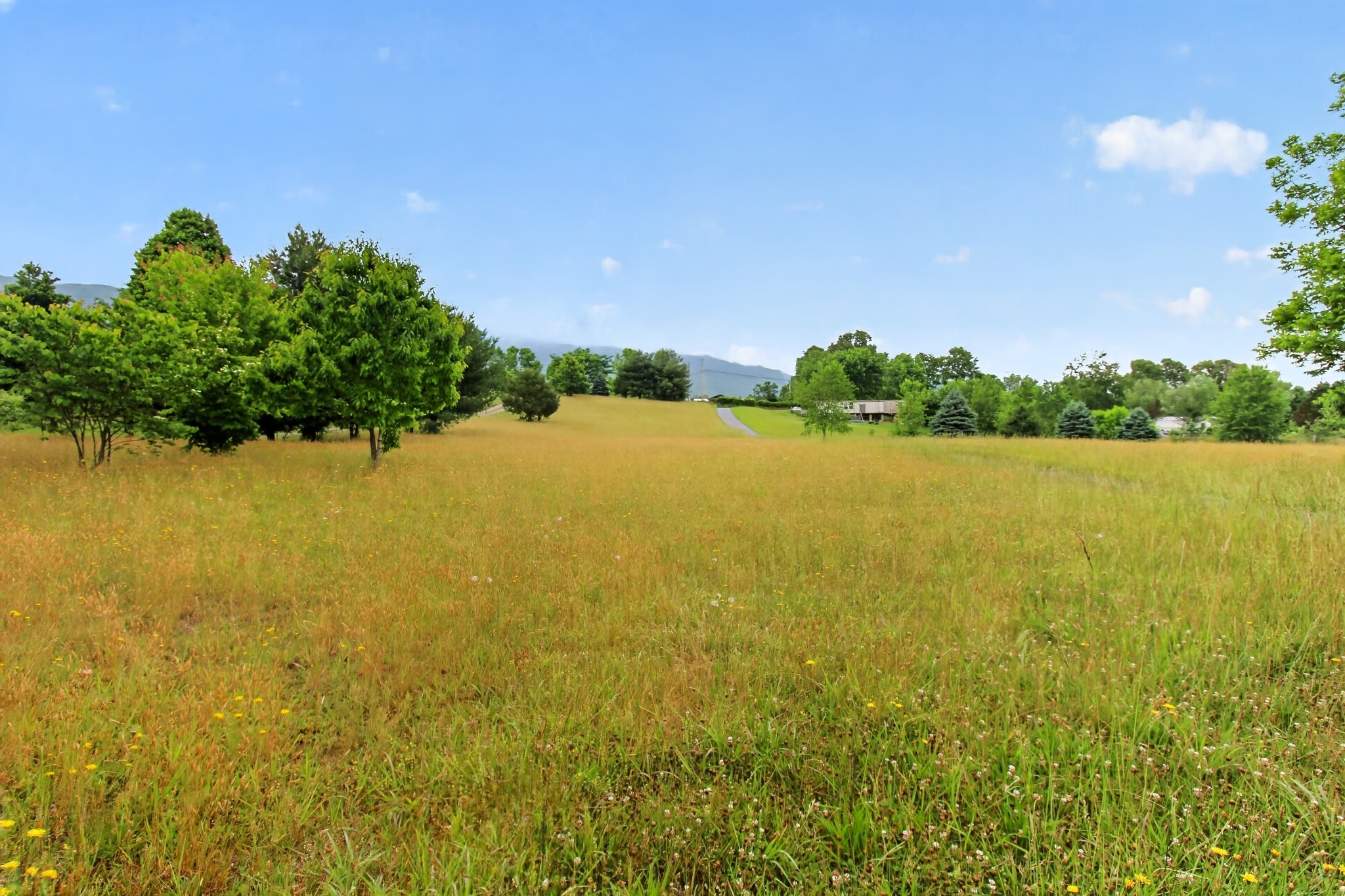 Homes for sale in Greeneville, TN | 325 Rambo Rd, Greeneville, TN 37743 | MLS# 3220935