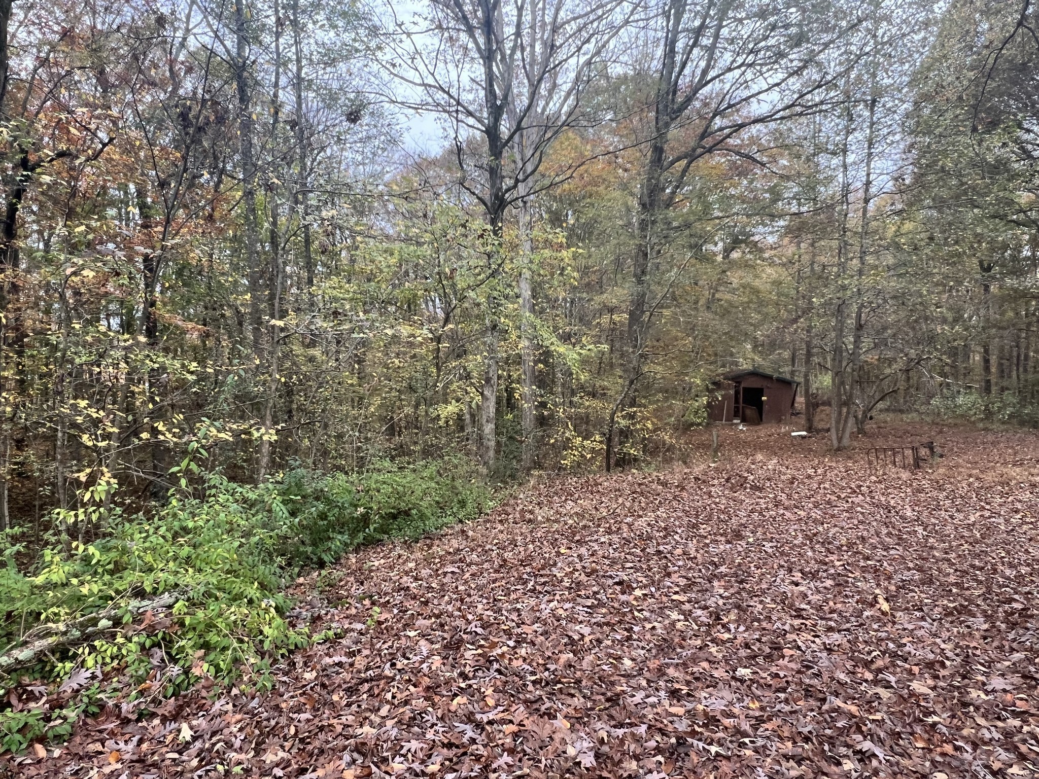 Homes for sale in Ashland City, TN | 1509 Hwy 49 E, Ashland City, TN 37015 | MLS# 3225938