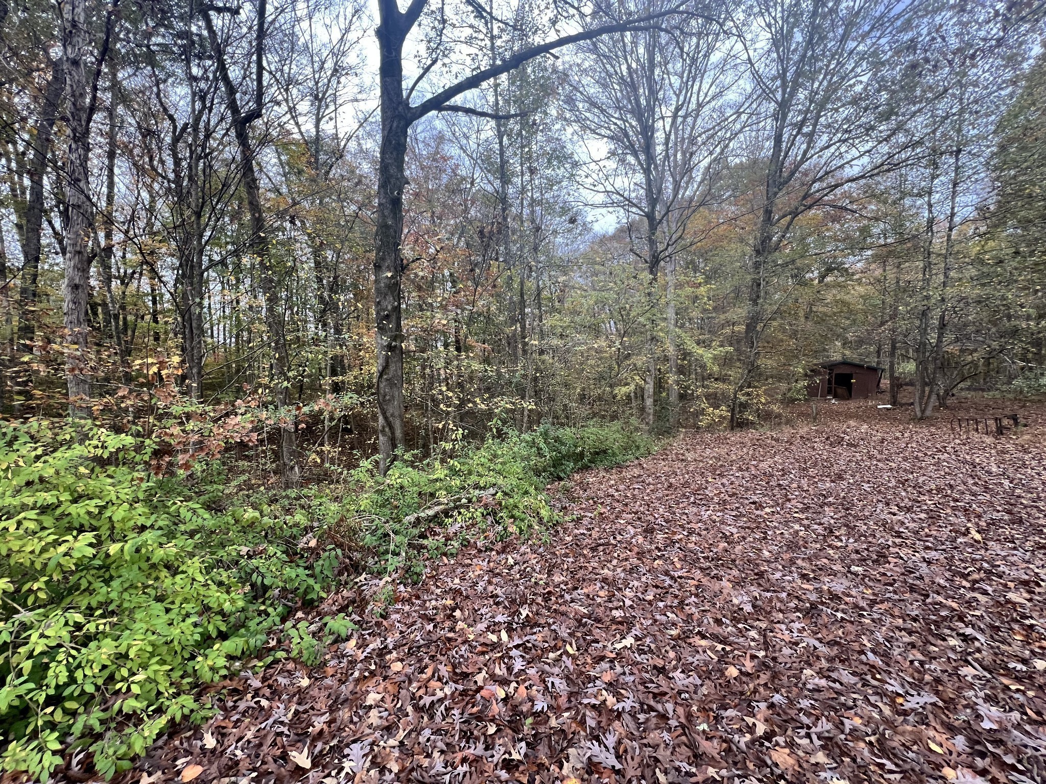 Homes for sale in Ashland City, TN | 1509 Hwy 49 E, Ashland City, TN 37015 | MLS# 3225938