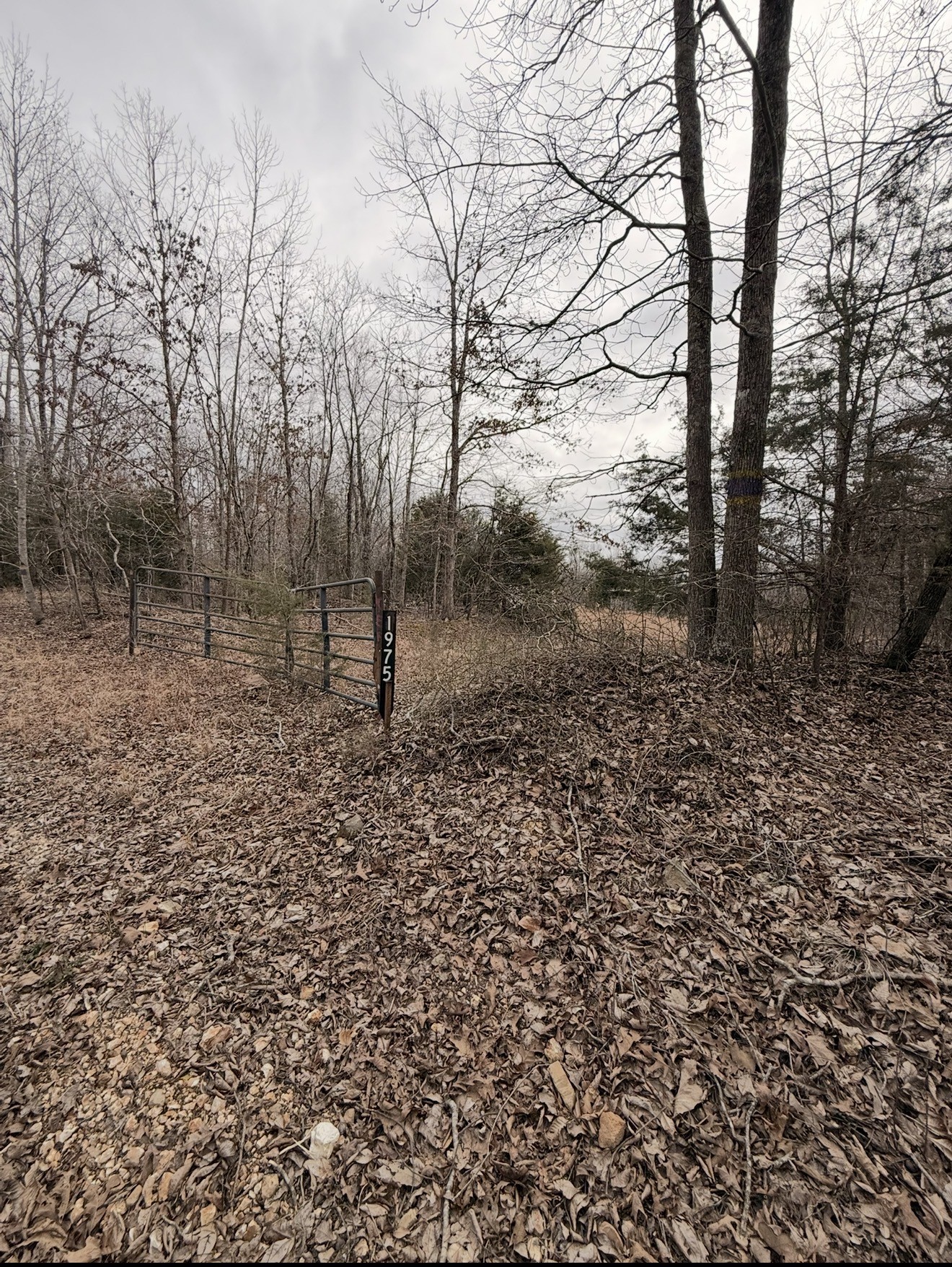 Homes for sale in Hurricane Mills, TN | 1975 Dogwood Rd, Hurricane Mills, TN 37078 | MLS# 3225233