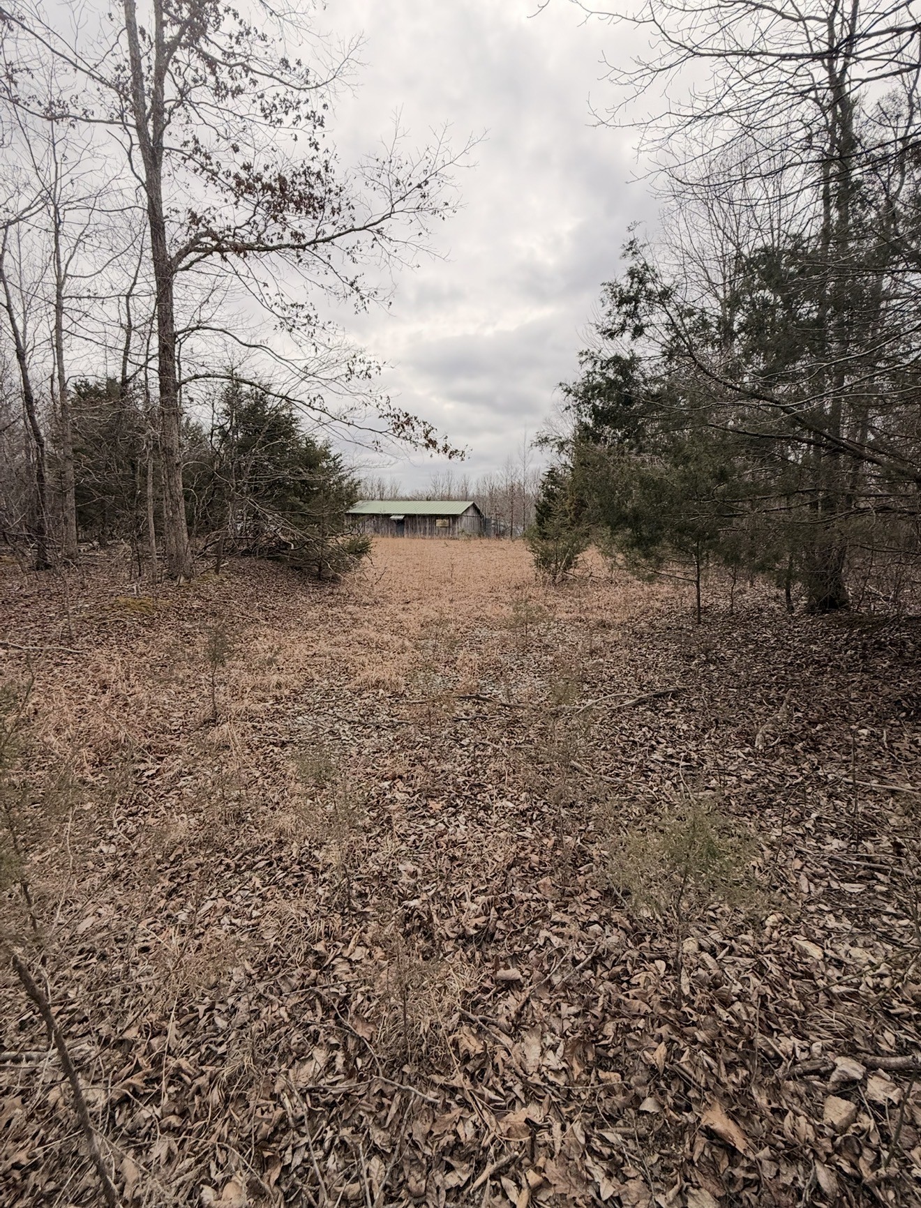 Homes for sale in Hurricane Mills, TN | 1975 Dogwood Rd, Hurricane Mills, TN 37078 | MLS# 3225233