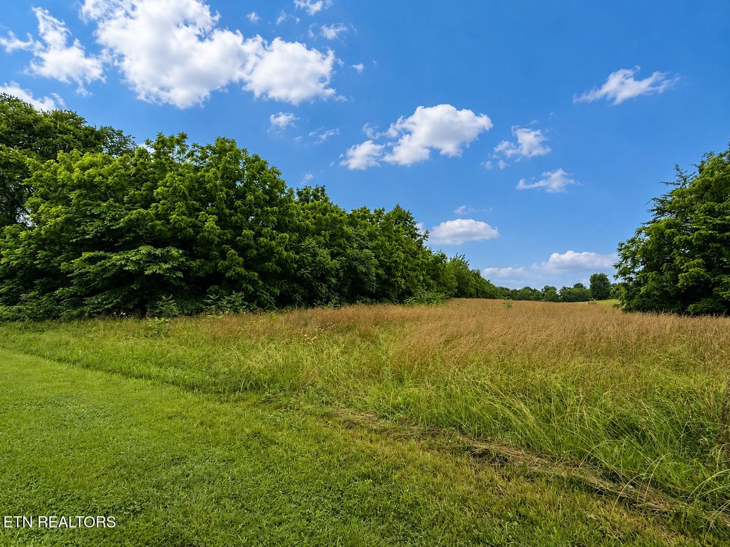 2nd image of 0 Lot 20 Autumn Woods Tr, Sweetwater, TN 37874 | MLS# 3336109