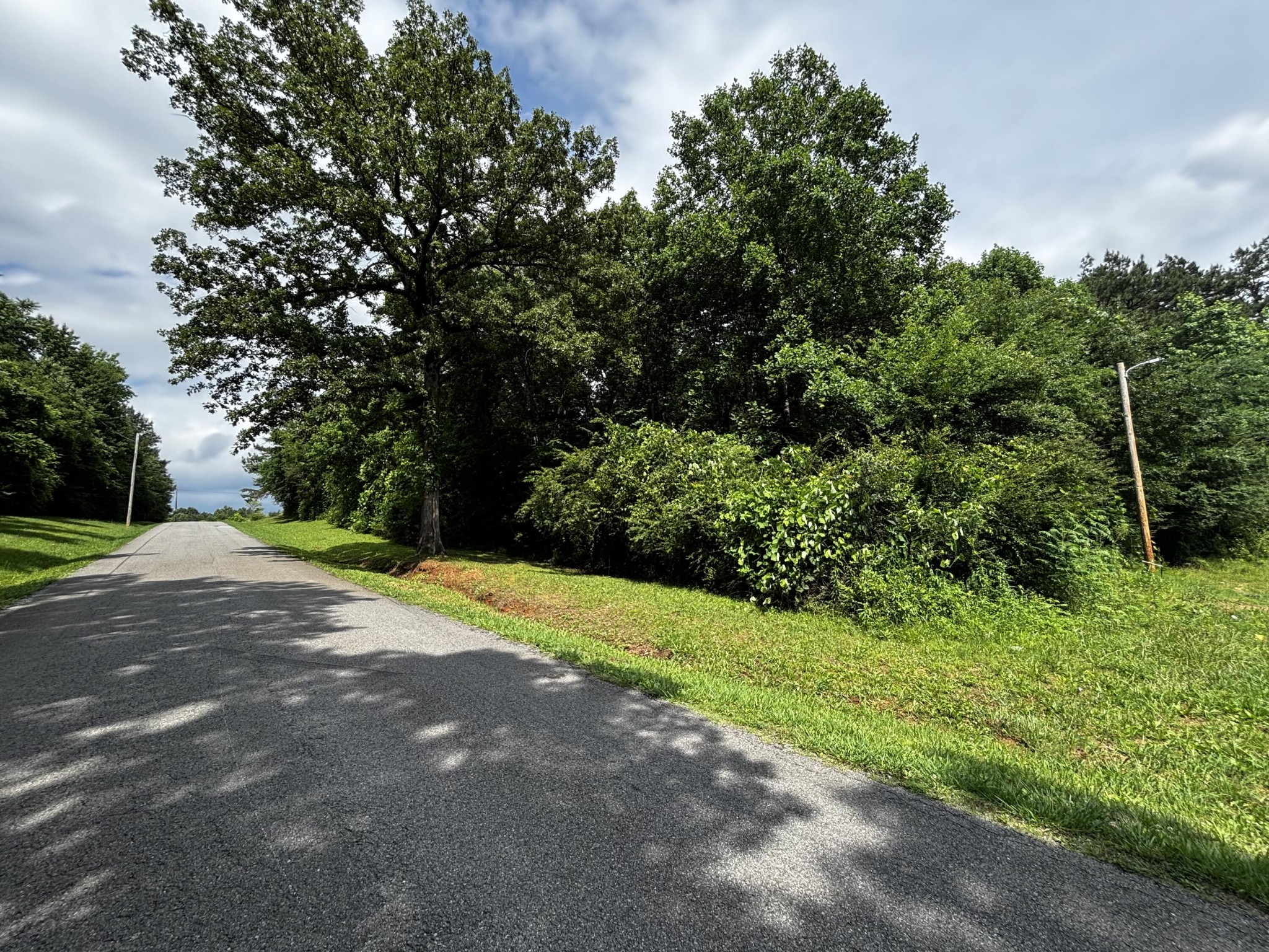 Homes for sale in Bridgeport, AL | 0 Kendall Avenue, Bridgeport, AL 35740 | MLS# 3226501