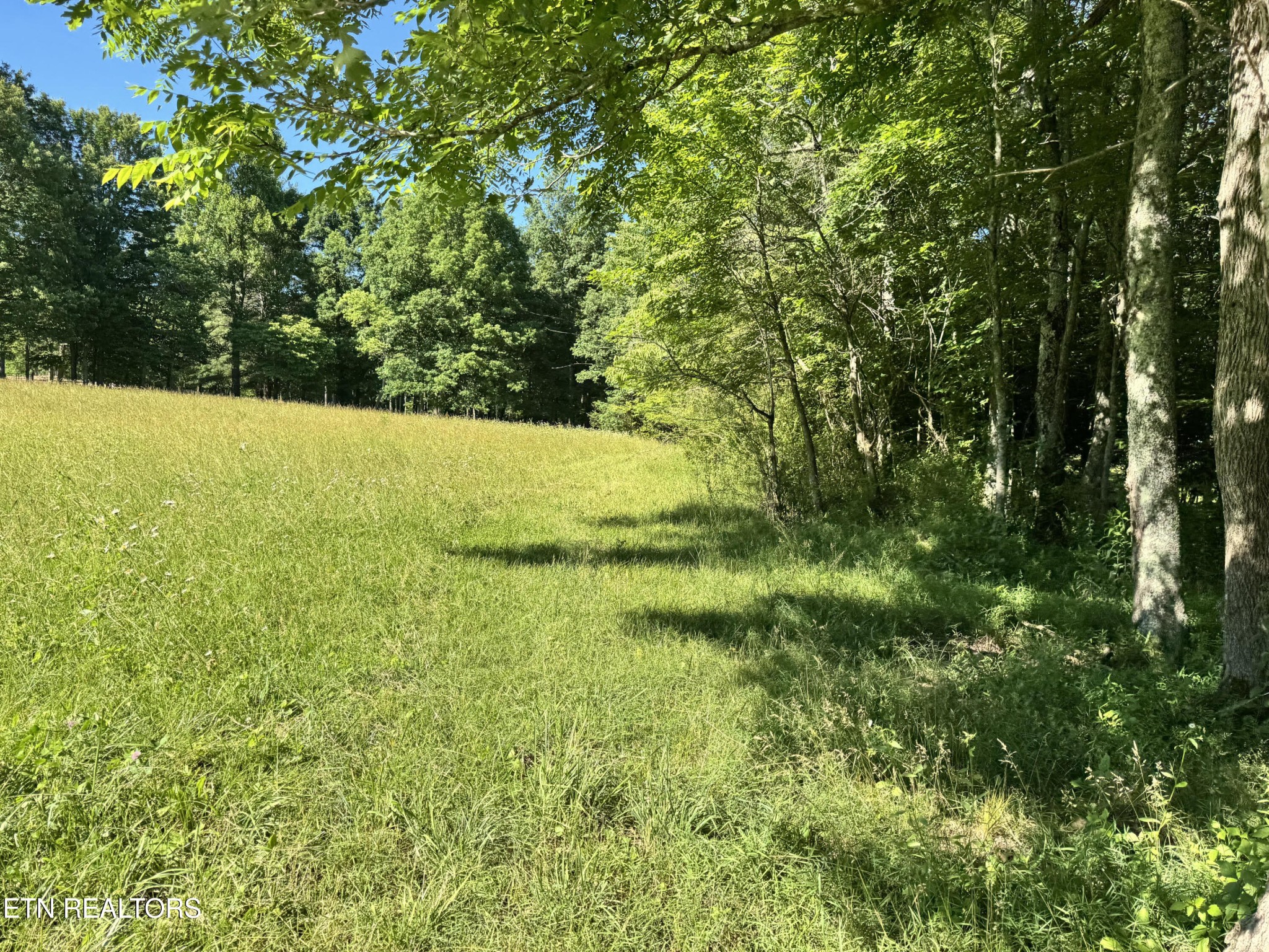 Homes for sale in Clarkrange, TN | 6986 S York Hwy, Clarkrange, TN 38553 | MLS# 3230313