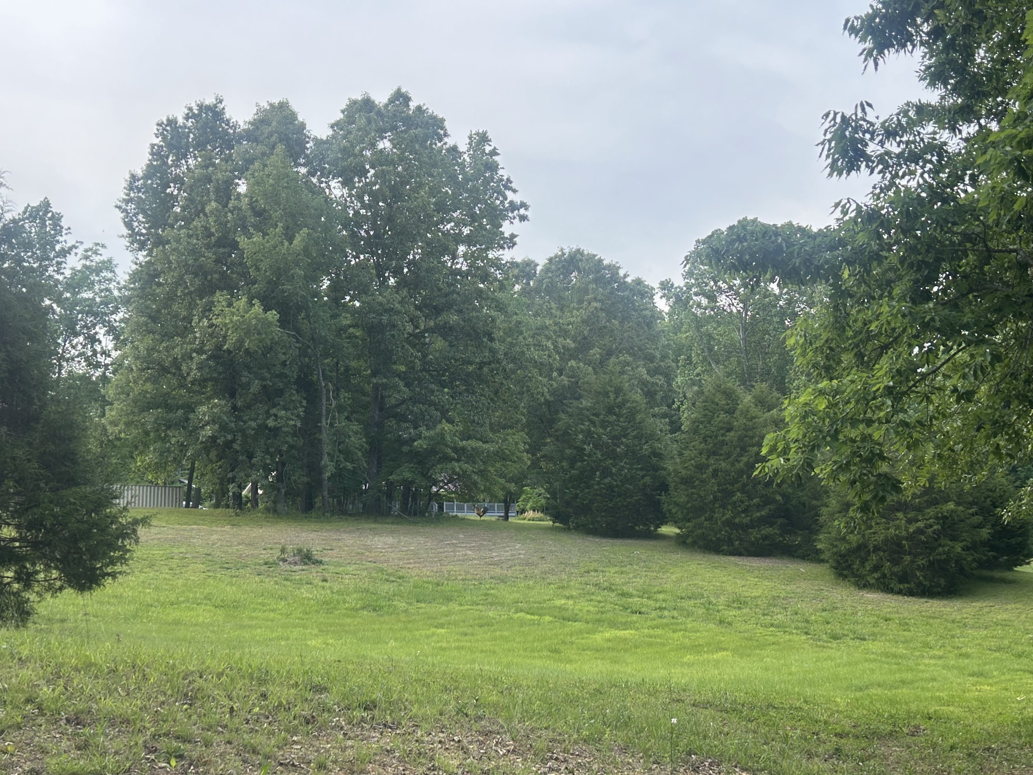 Homes for sale in Erin, TN | 2162 Bethany Rd, Erin, TN 37061 | MLS# 3231177