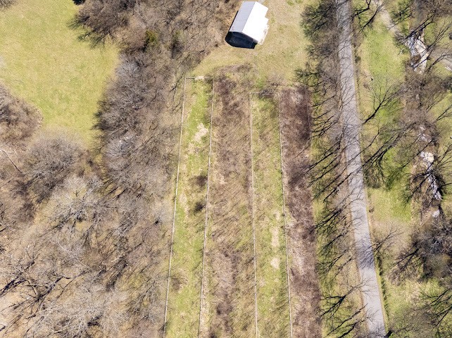 Homes for sale in Petersburg, TN | 474 Bartlett Hollow Rd, Petersburg, TN 37144 | MLS# 3233951
