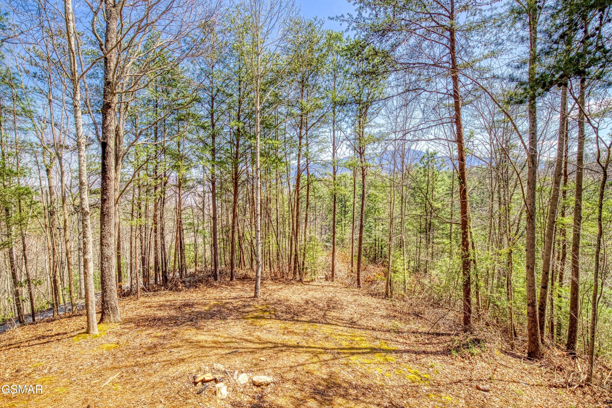 2nd image of 2752 Blue Springs Way, Sevierville, TN 37862 | MLS# 3523784