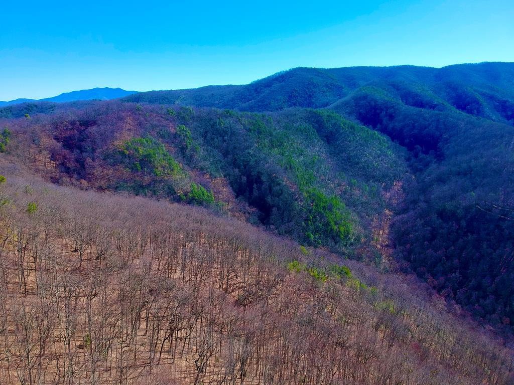 1st image of 2 Ravens Den Way, Sevierville, TN 37862 | MLS# 3524779