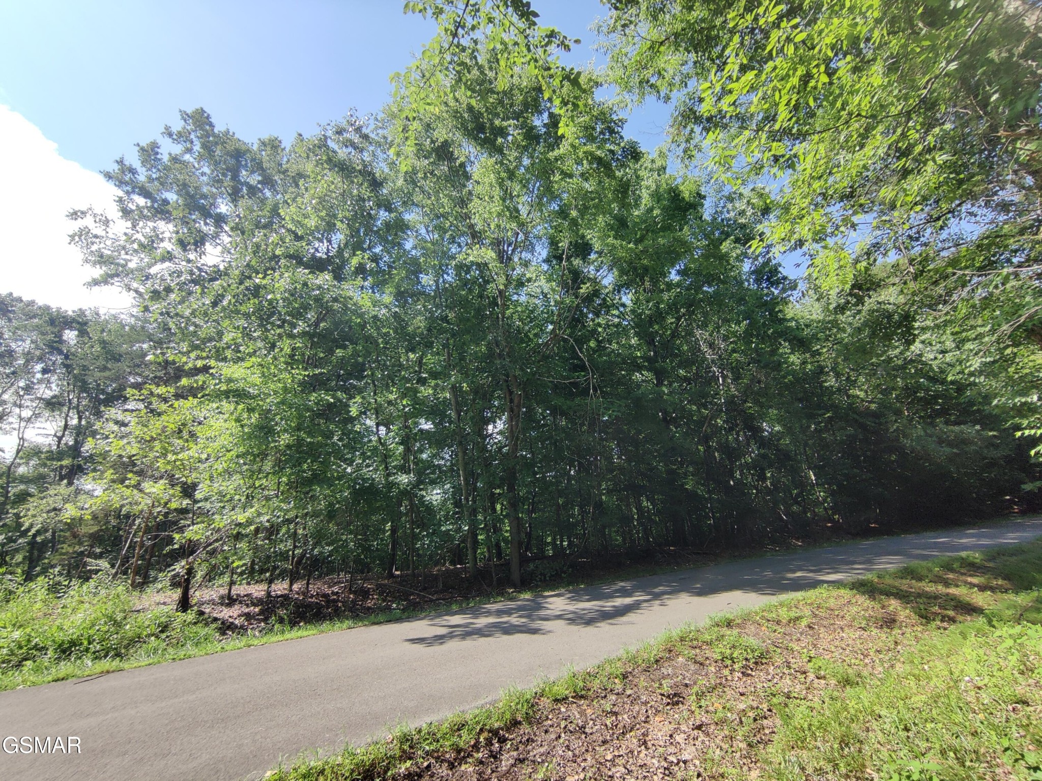 Homes for sale in Baneberry, TN | 3347 Mountain View Lane, Baneberry, TN 37890 | MLS# 3270188