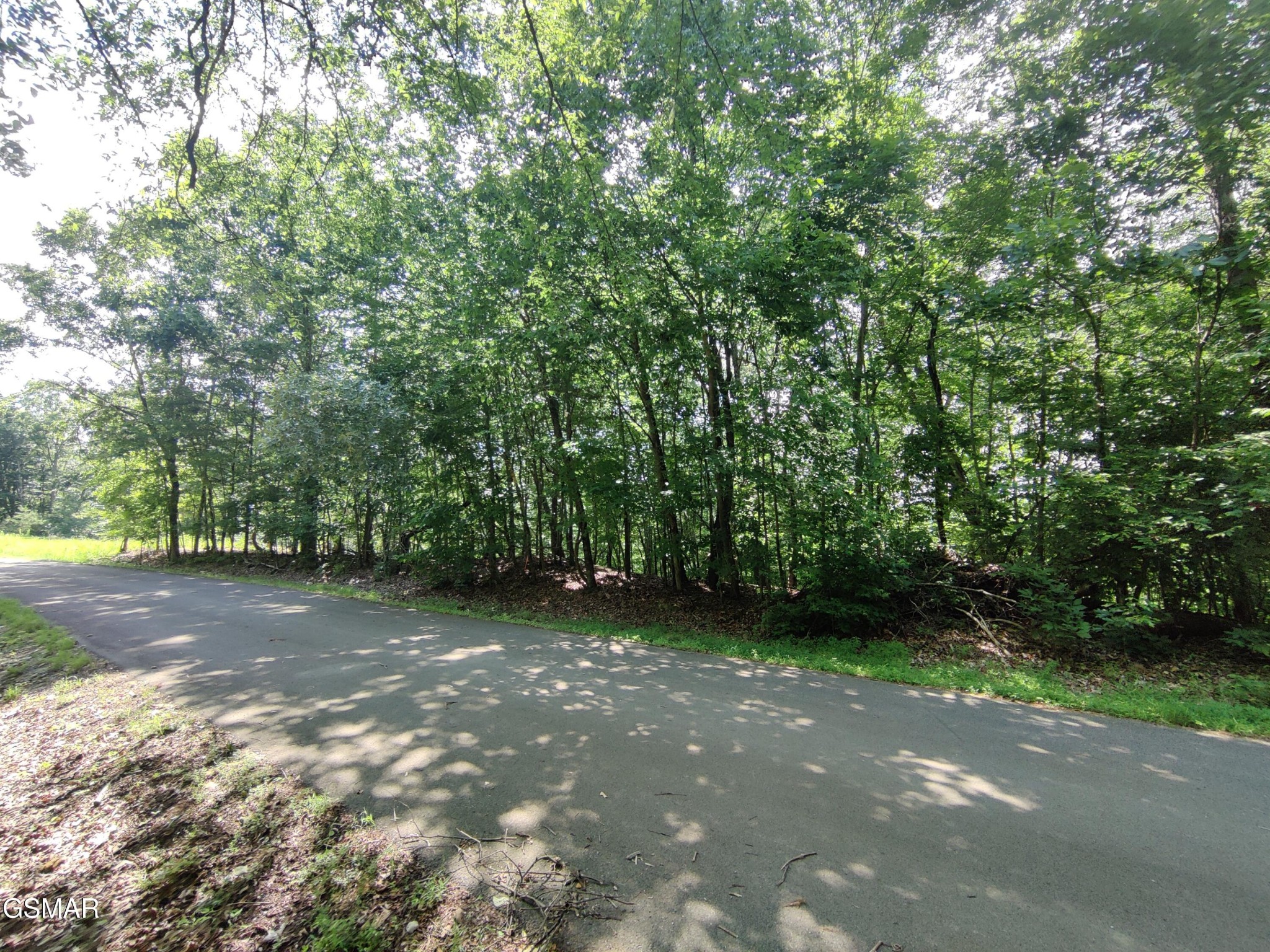 Homes for sale in Baneberry, TN | 3347 Mountain View Lane, Baneberry, TN 37890 | MLS# 3270188
