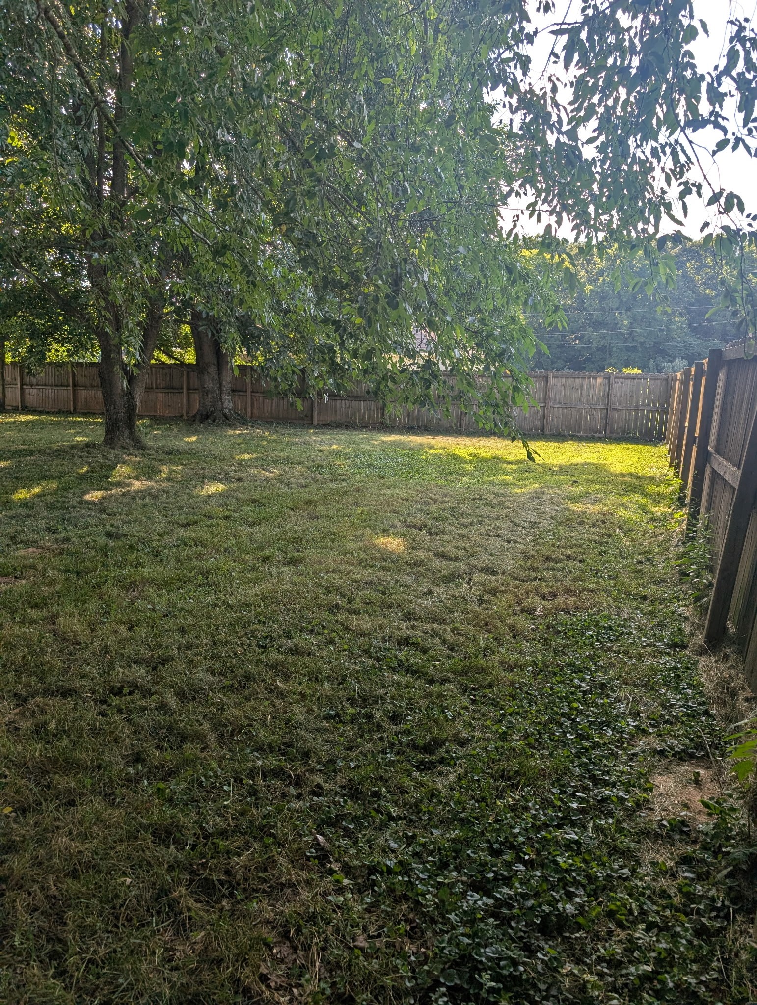 23rd image of 202 Quincy Dr, Hopkinsville, KY 42240 | MLS# 3244555