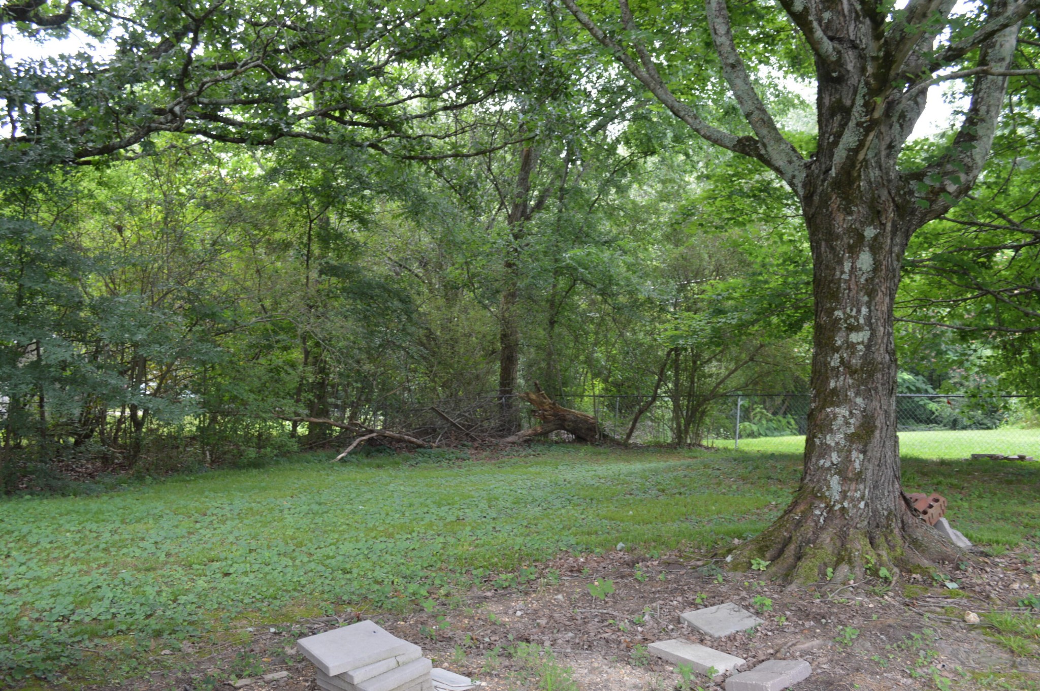 28th image of 118 Matt Circle Se, Cleveland, TN 37323 | MLS# 3245726