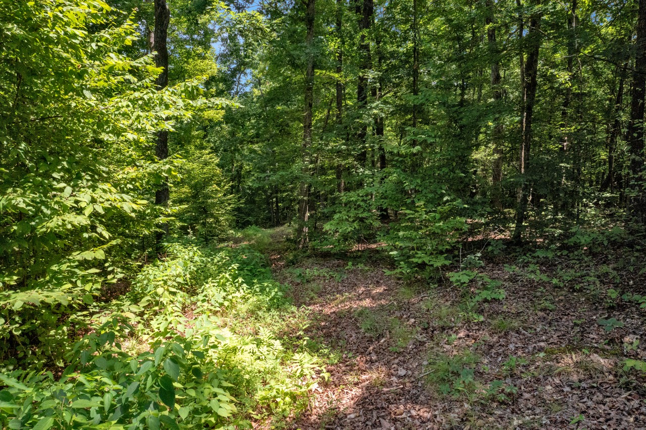 Homes for sale in Cadiz, KY | 226 Skip Jack Ln, Cadiz, KY 42211 | MLS# 3249084