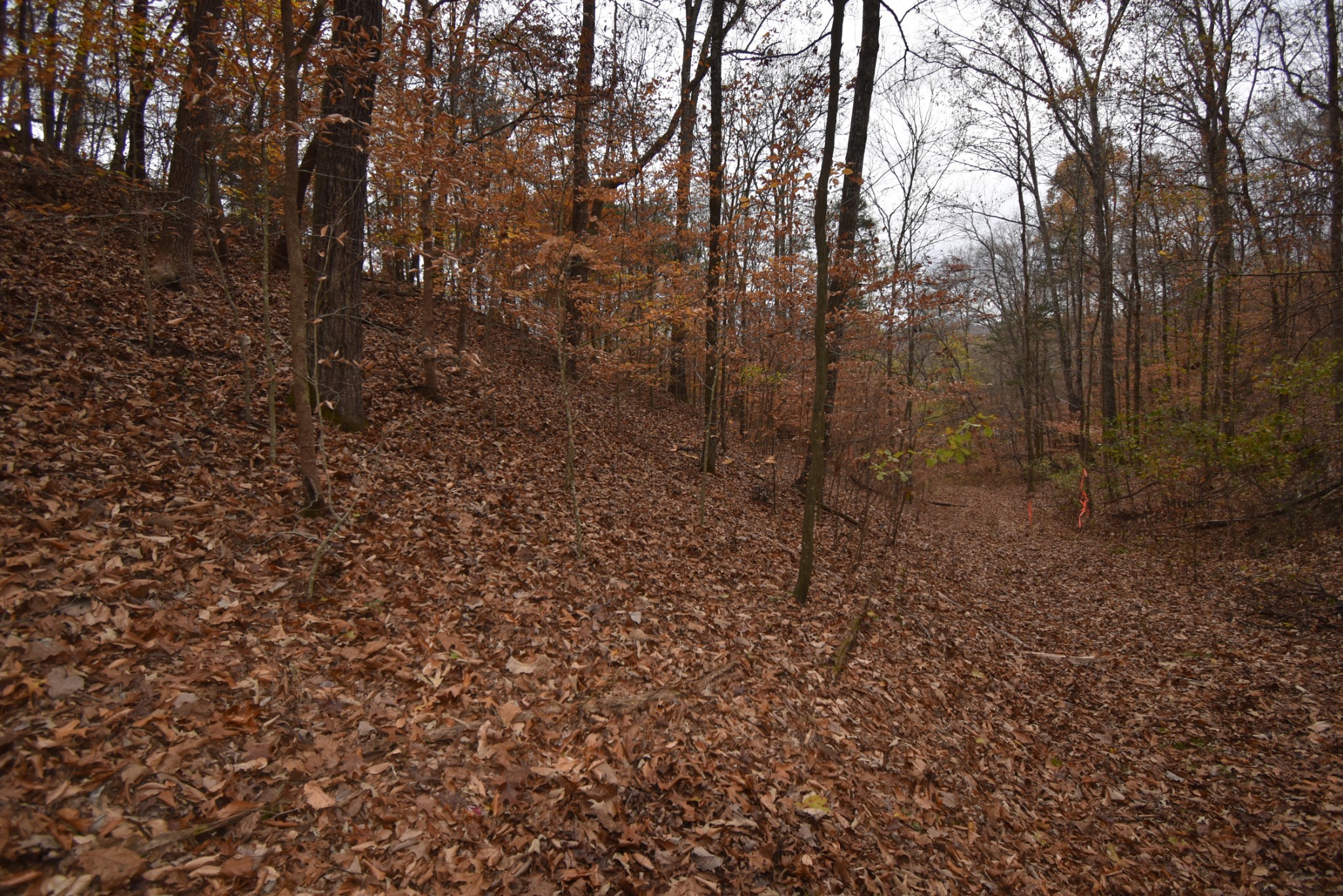 Homes for sale in Lobelville, TN | 0 Depriest Bend Dr, Lobelville, TN 37097 | MLS# 3272078