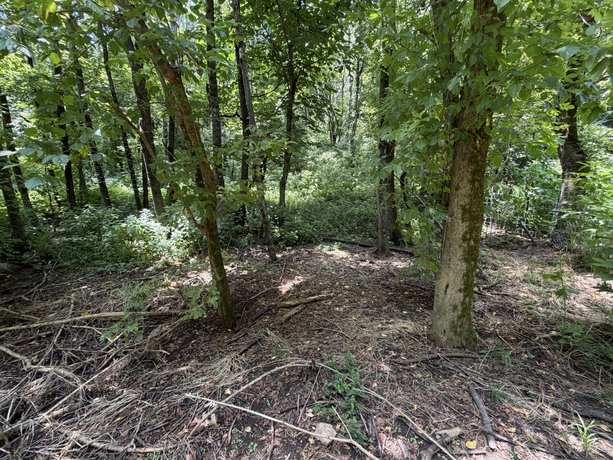 Homes for sale in Santa Fe, TN | 3073 Fly Rd, Santa Fe, TN 38482 | MLS# 3280935