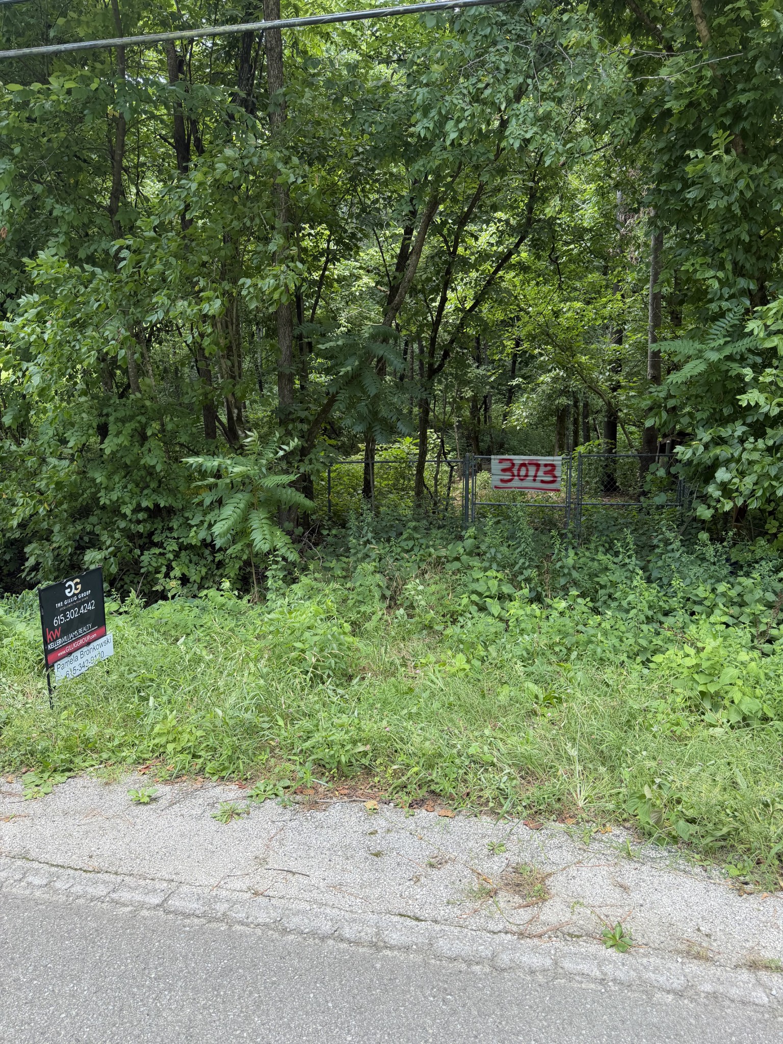 Homes for sale in Santa Fe, TN | 3073 Fly Rd, Santa Fe, TN 38482 | MLS# 3280935
