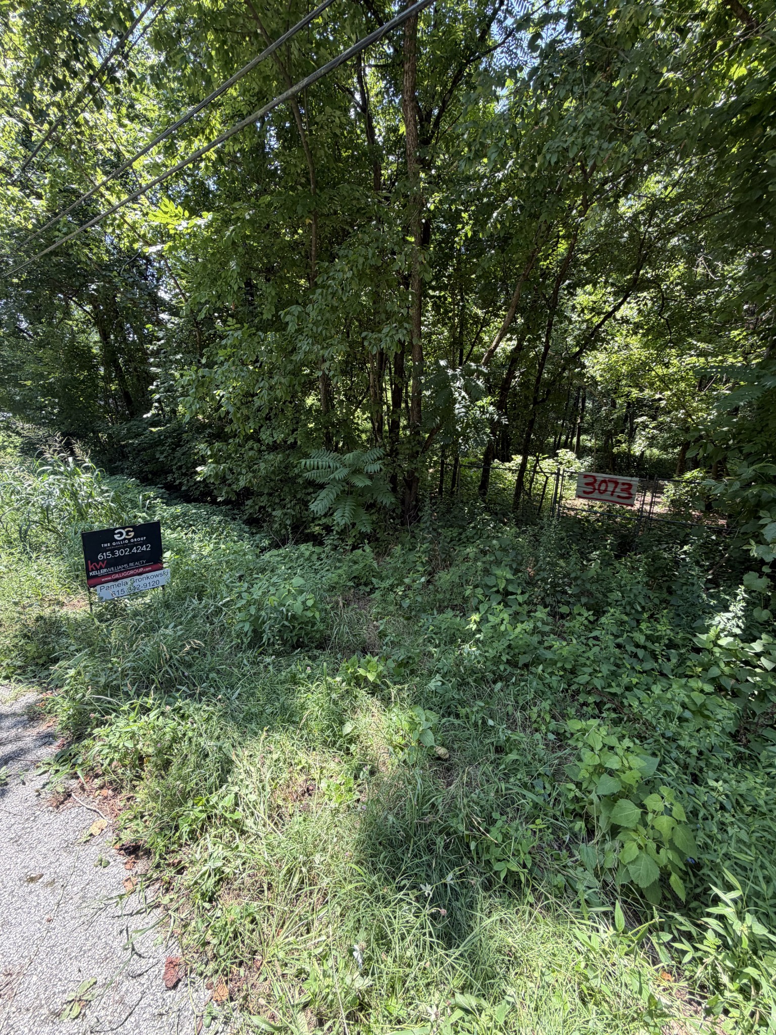 Homes for sale in Santa Fe, TN | 3073 Fly Rd, Santa Fe, TN 38482 | MLS# 3280935