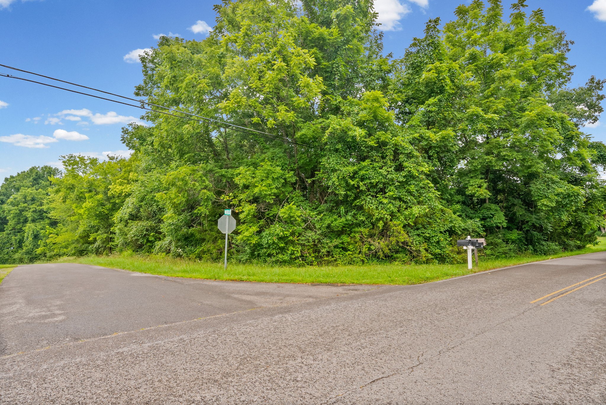 Homes for sale in White Bluff, TN | 0 Hwy 47, White Bluff, TN 37187 | MLS# 3272104