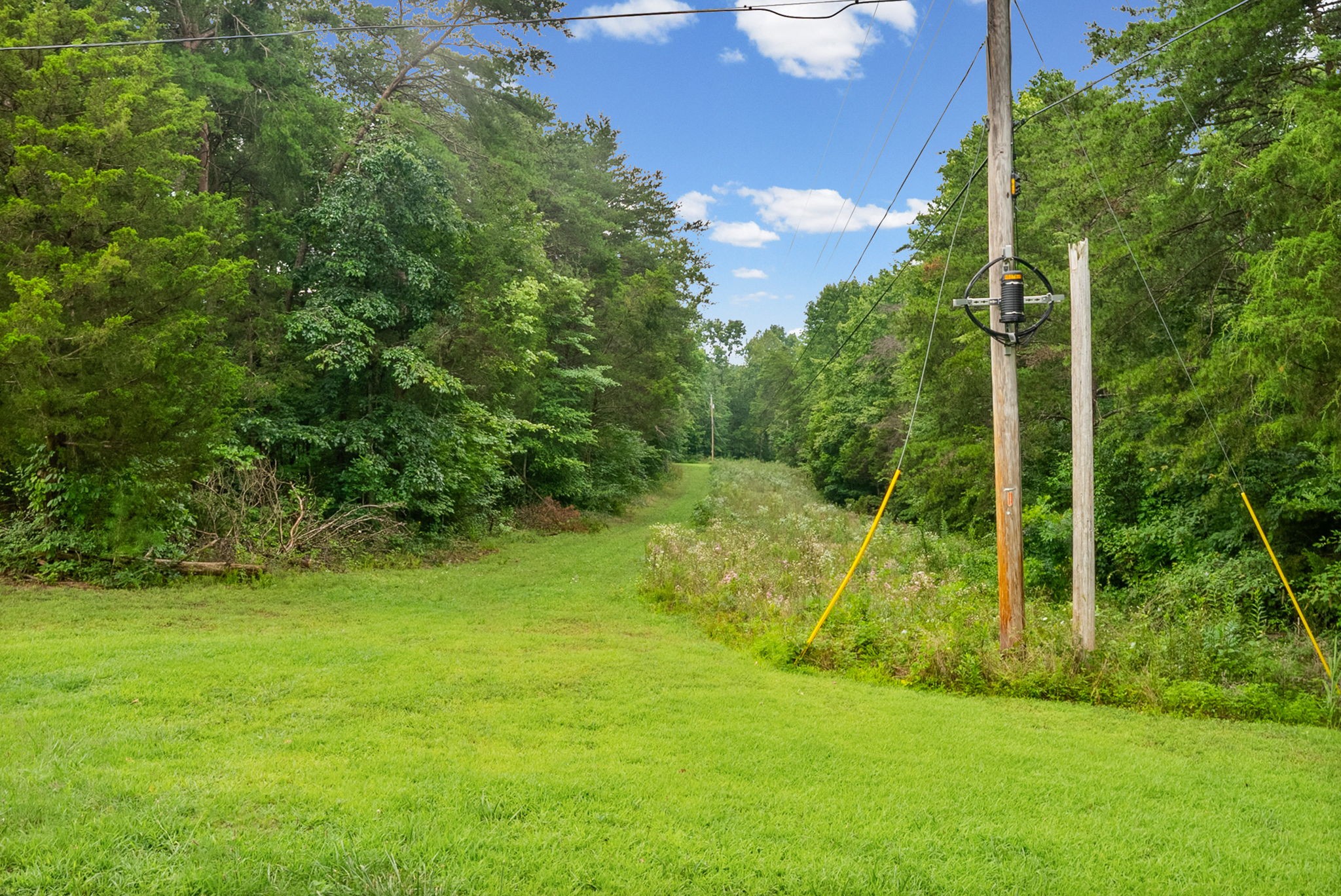 Homes for sale in White Bluff, TN | 0 Hwy 47, White Bluff, TN 37187 | MLS# 3272104