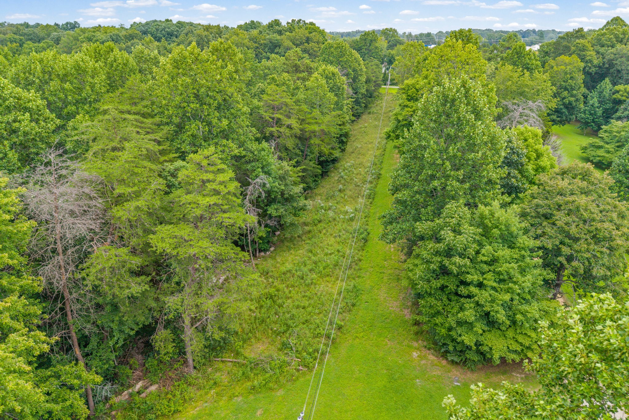 Homes for sale in White Bluff, TN | 0 Hwy 47, White Bluff, TN 37187 | MLS# 3272104