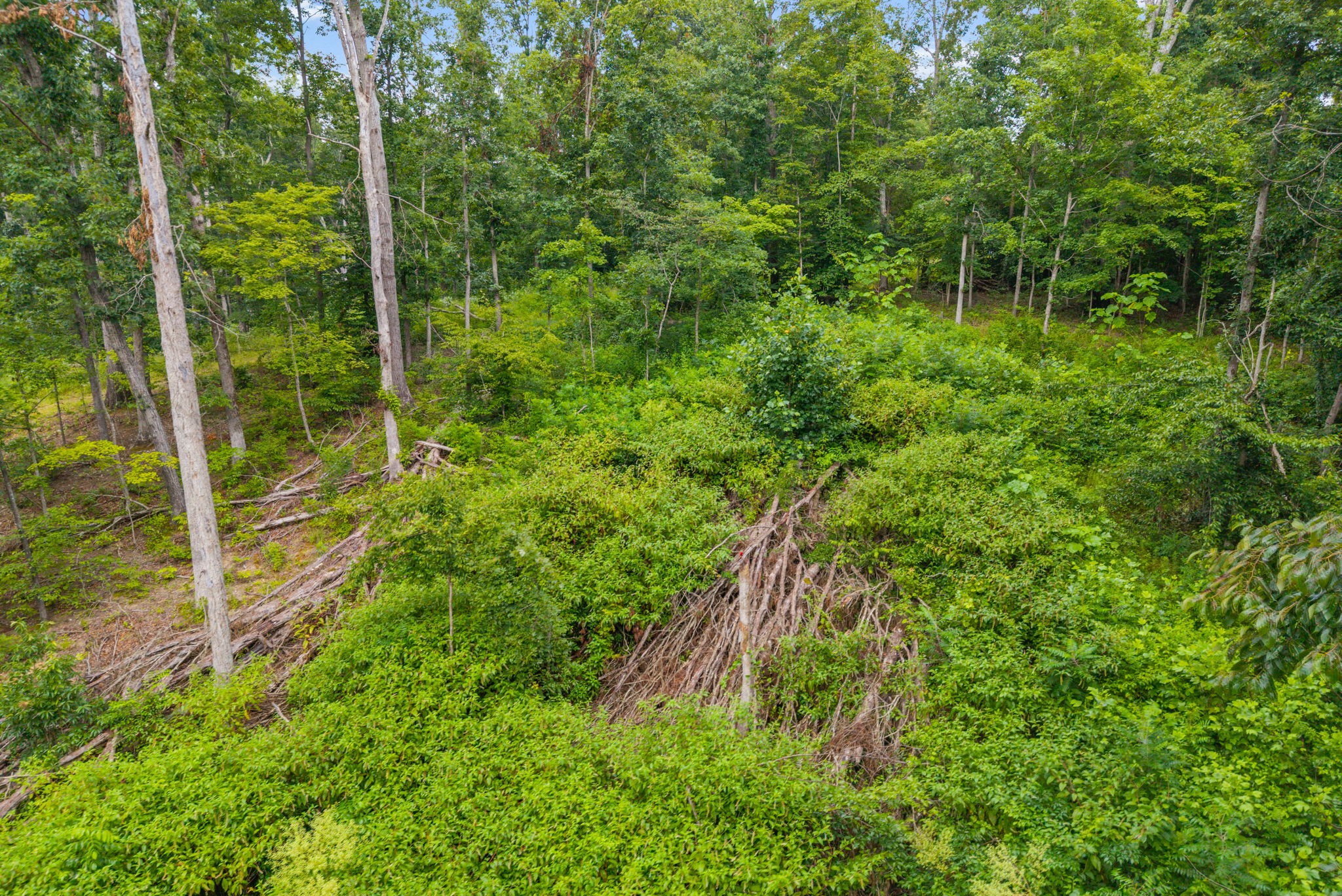Homes for sale in White Bluff, TN | 0 Hwy 47, White Bluff, TN 37187 | MLS# 3272104
