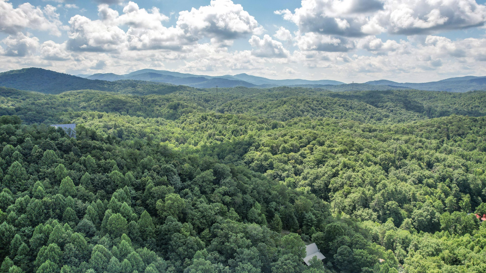 Homes for sale in Reliance, TN | 186 Caney Creek Road, Reliance, TN 37369 | MLS# 3270468