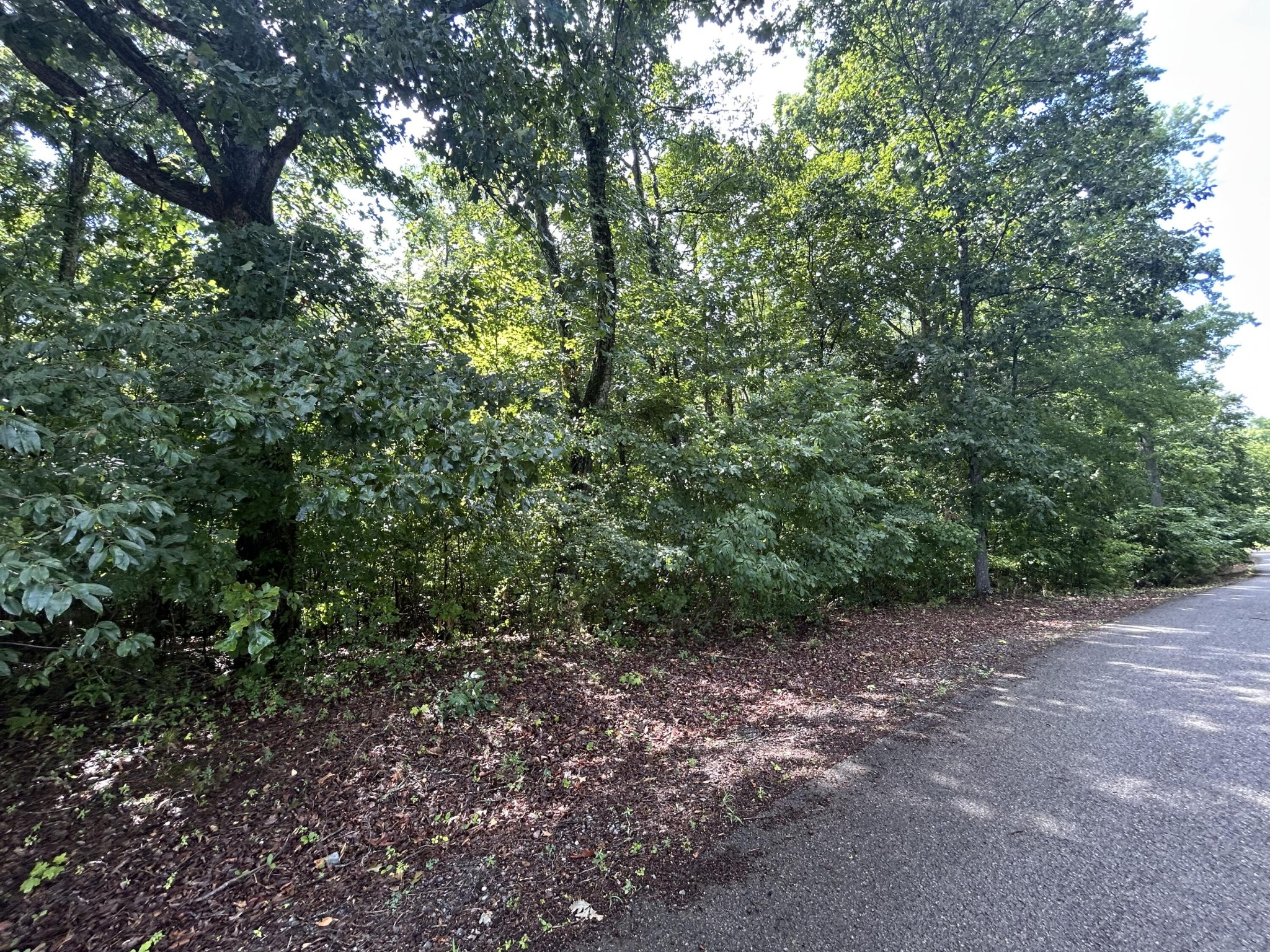 Homes for sale in Decatur, TN | 92 Gates Of The River, Decatur, TN 37322 | MLS# 3270523