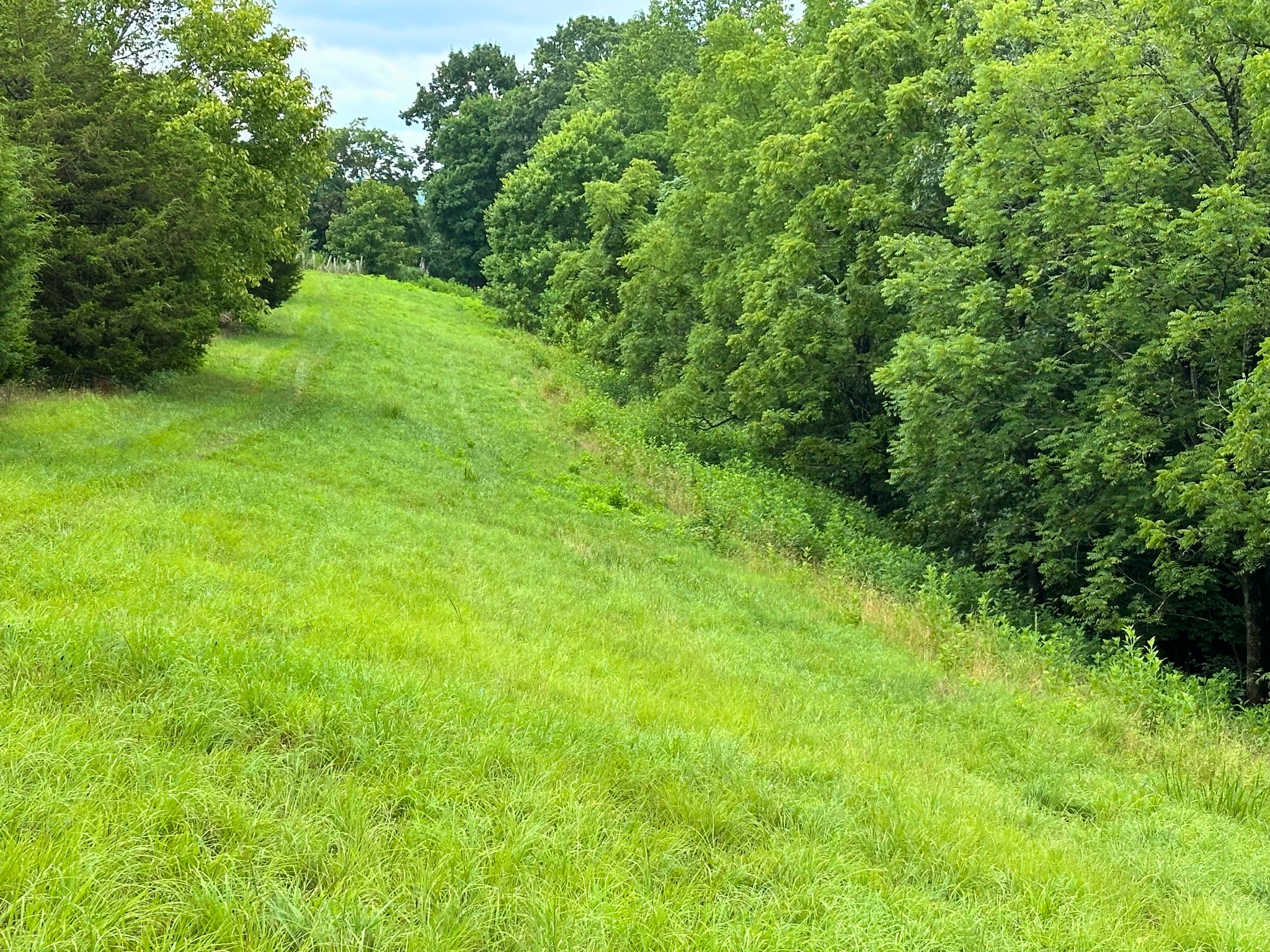 Homes for sale in Chestnut Mound, TN | 0 Pea Ridge Rd, Chestnut Mound, TN 38552 | MLS# 3272087