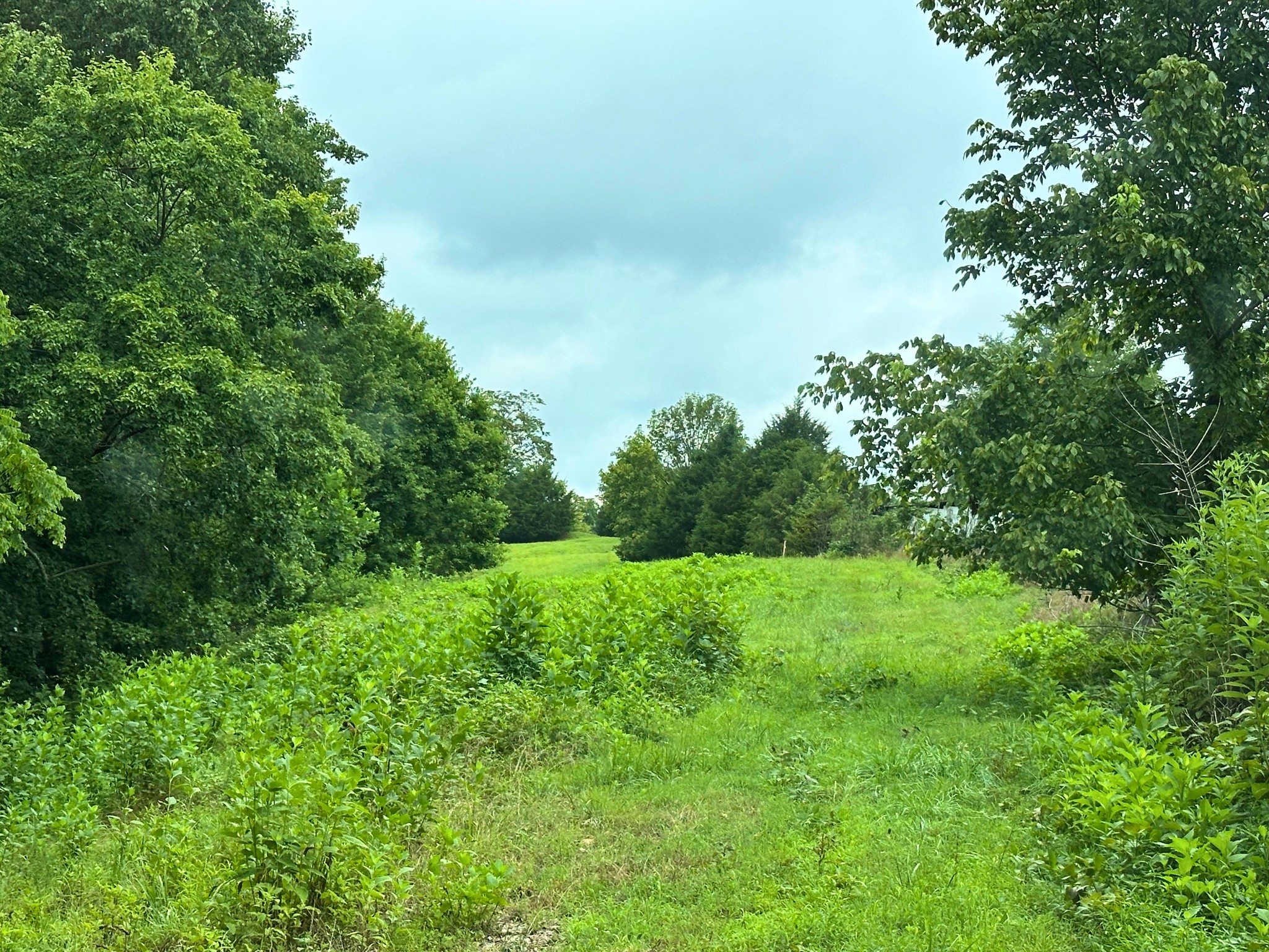 Homes for sale in Chestnut Mound, TN | 0 Pea Ridge Rd, Chestnut Mound, TN 38552 | MLS# 3272087