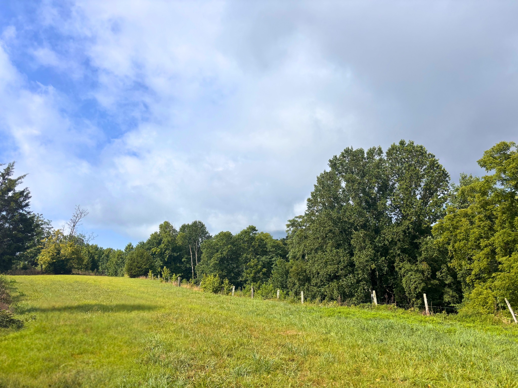 Homes for sale in Chestnut Mound, TN | 0 Pea Ridge Rd, Chestnut Mound, TN 38552 | MLS# 3272087