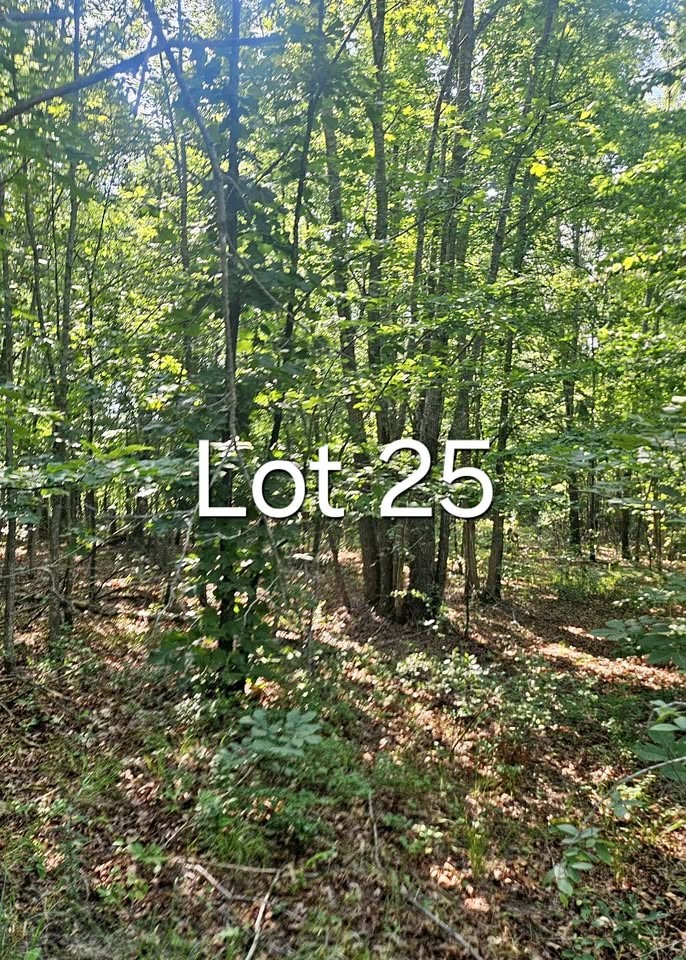 Homes for sale in Summertown, TN | 0 0 Aerie Lake Circle, Summertown, TN 38483 | MLS# 3272048