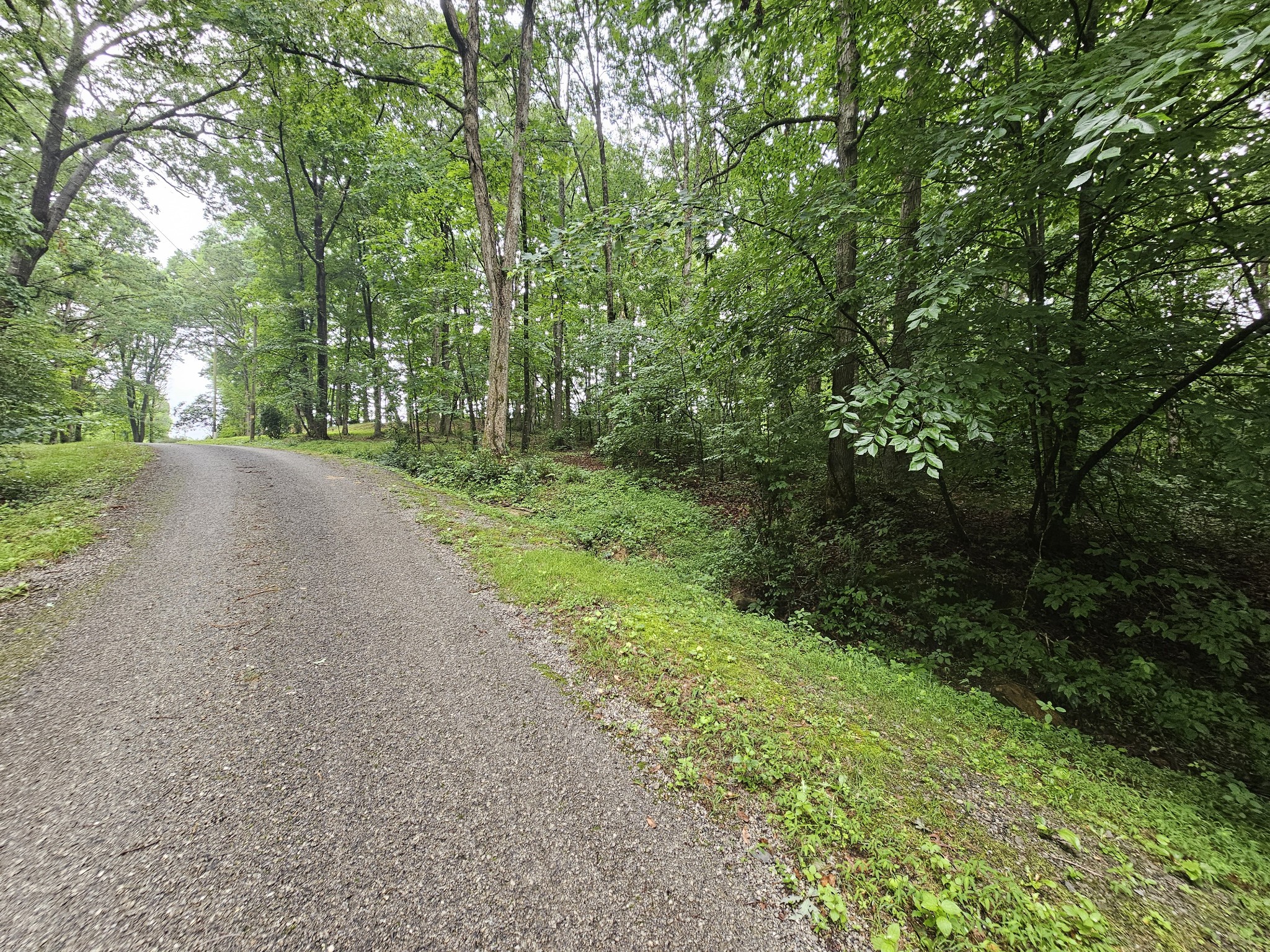 Homes for sale in Tracy City, TN | 2411 Sr 56, Tracy City, TN 37387 | MLS# 3272086