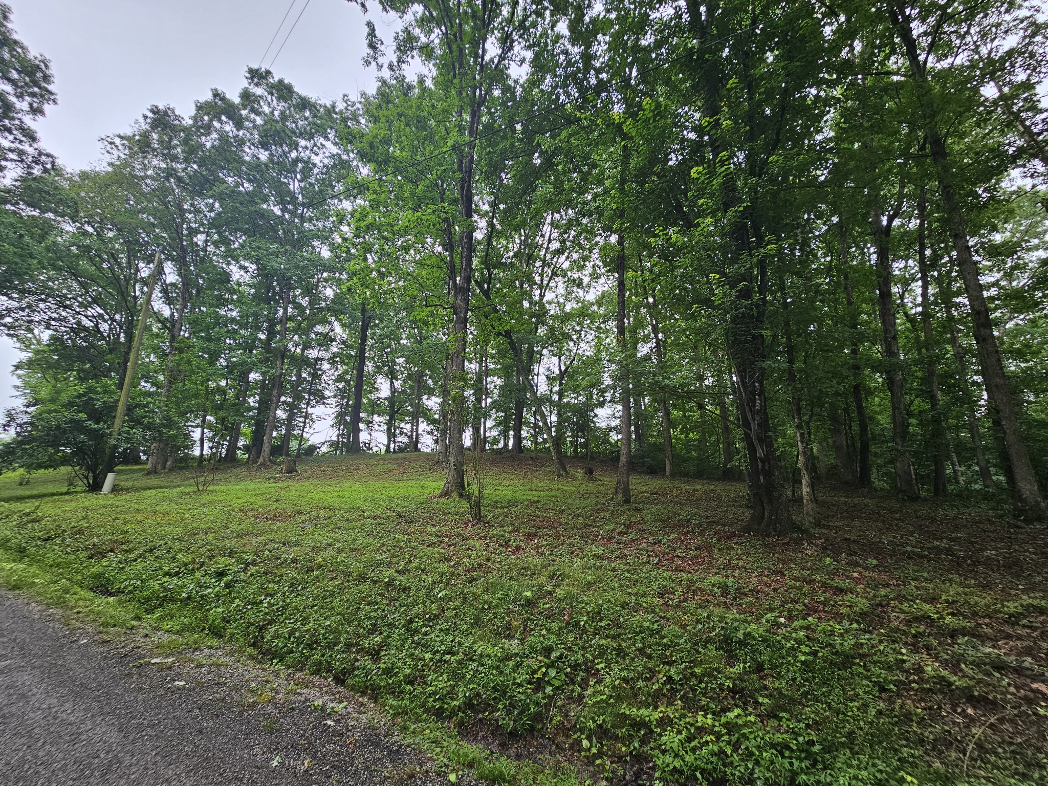Homes for sale in Tracy City, TN | 2411 Sr 56, Tracy City, TN 37387 | MLS# 3272086