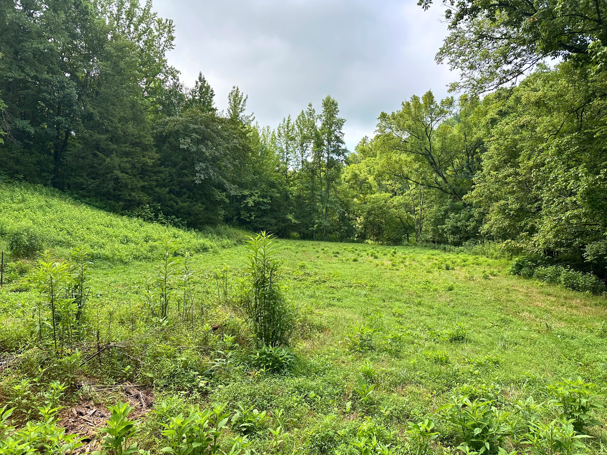 Homes for sale in Buffalo Valley, TN | 0 Dickens Rd, Buffalo Valley, TN 38548 | MLS# 3272116
