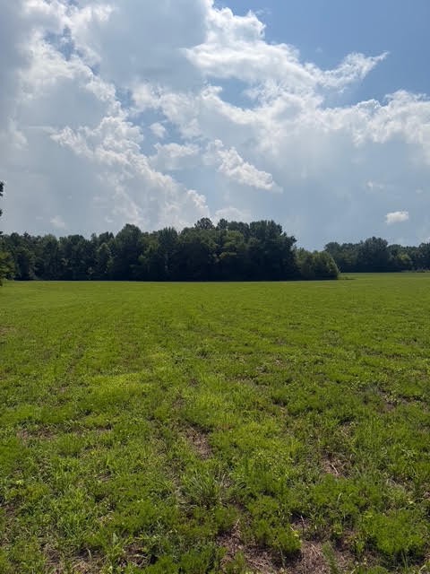 8th image of 0 Friendship Road, Cross Plains, TN 37049 | MLS# 3281030