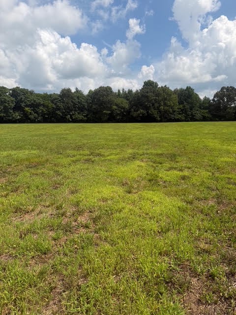 4th image of 0 Friendship Road, Cross Plains, TN 37049 | MLS# 3281030