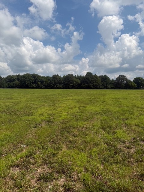3rd image of 0 Friendship Road, Cross Plains, TN 37049 | MLS# 3281030