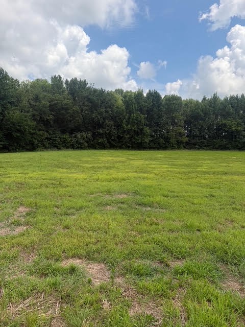 5th image of 0 Friendship Road, Cross Plains, TN 37049 | MLS# 3281030