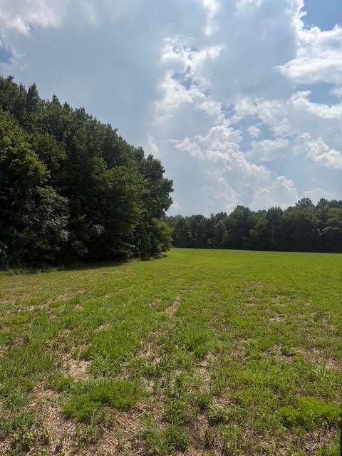 2nd image of 0 Friendship Road, Cross Plains, TN 37049 | MLS# 3281030