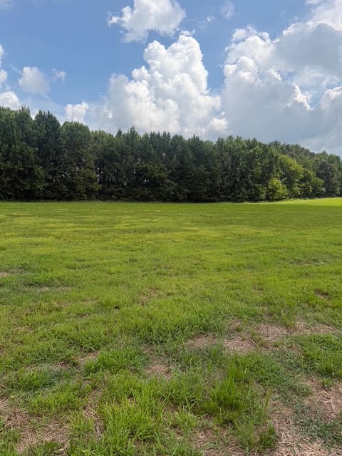 1st image of 0 Friendship Road, Cross Plains, TN 37049 | MLS# 3281030