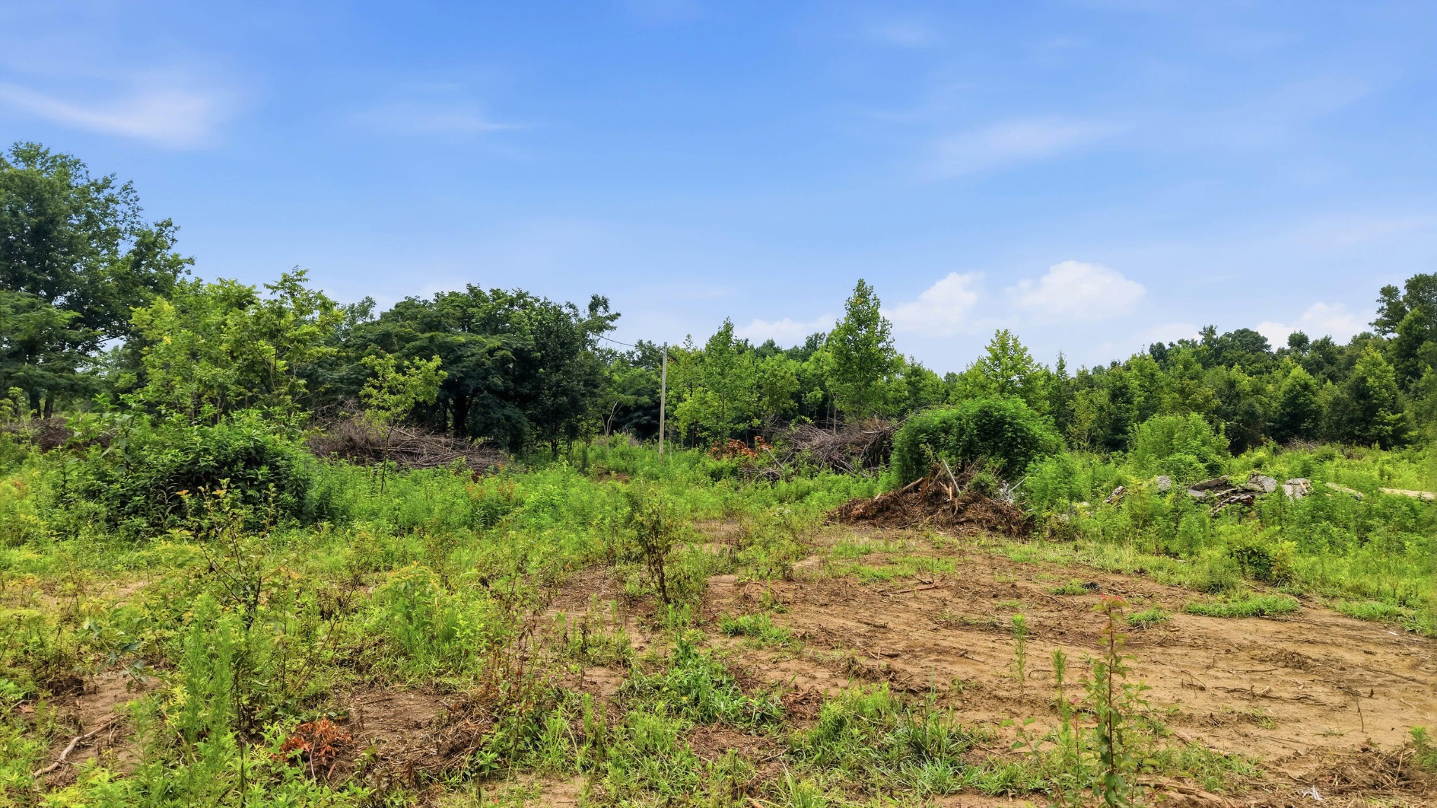 Homes for sale in Bryant, AL | 309 County Road 315, Bryant, AL 35958 | MLS# 3285534