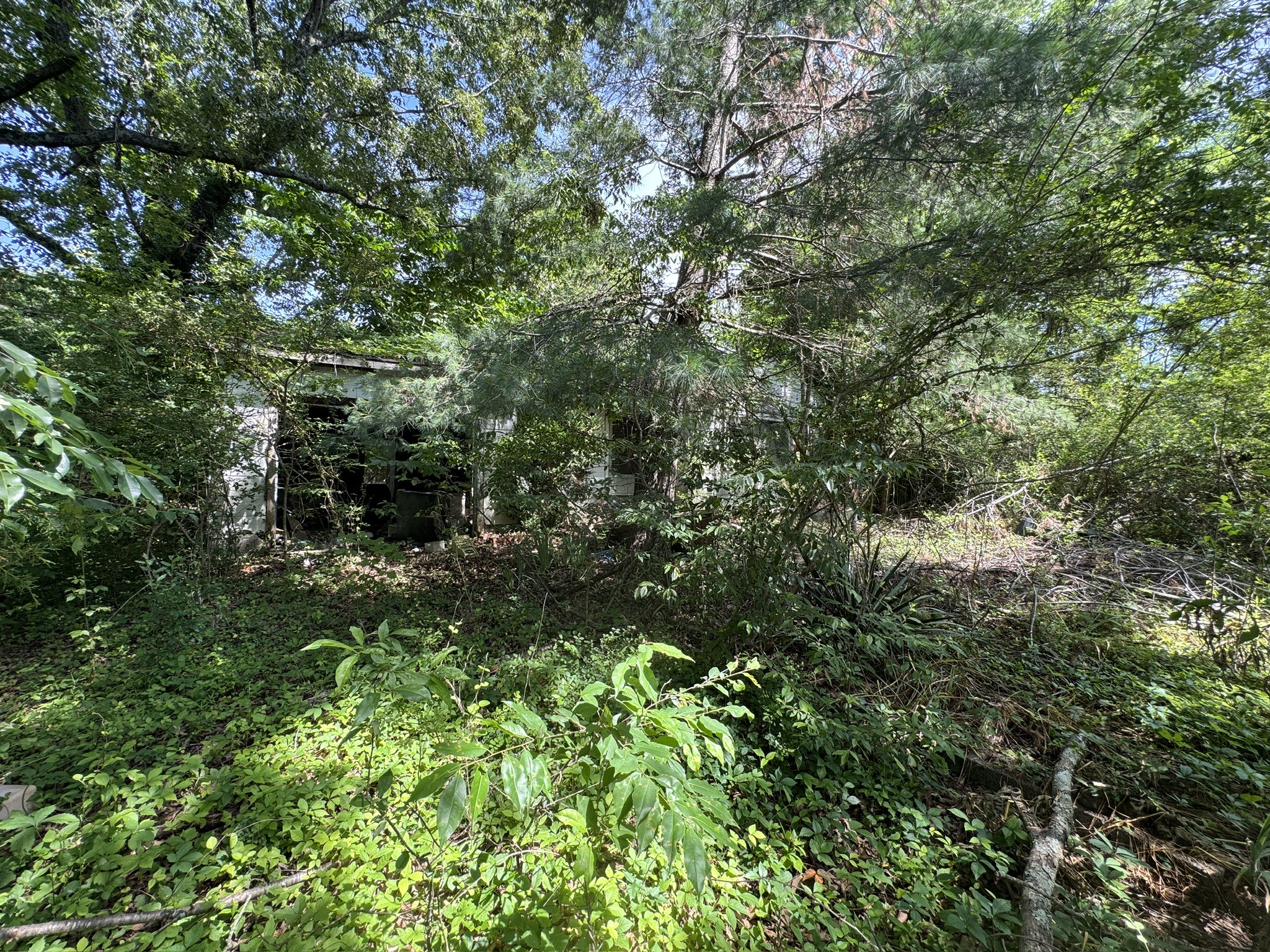 Homes for sale in Summertown, TN | 9108 Hwy 20, Summertown, TN 38483 | MLS# 3285676