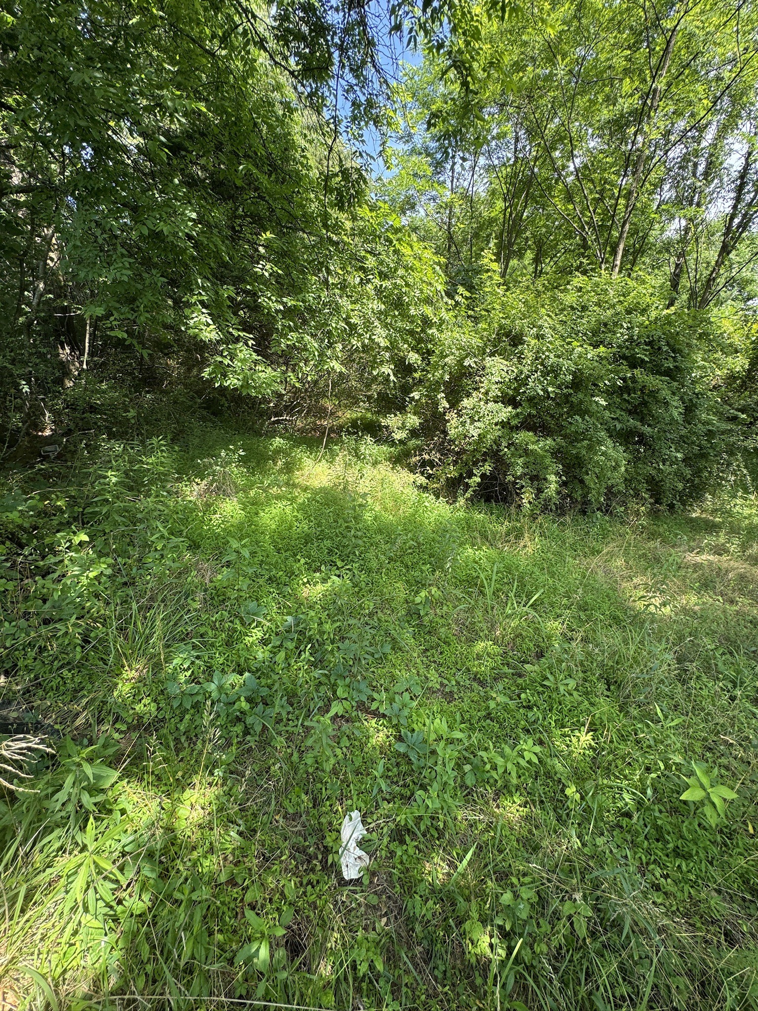 Homes for sale in Summertown, TN | 9108 Hwy 20, Summertown, TN 38483 | MLS# 3285676