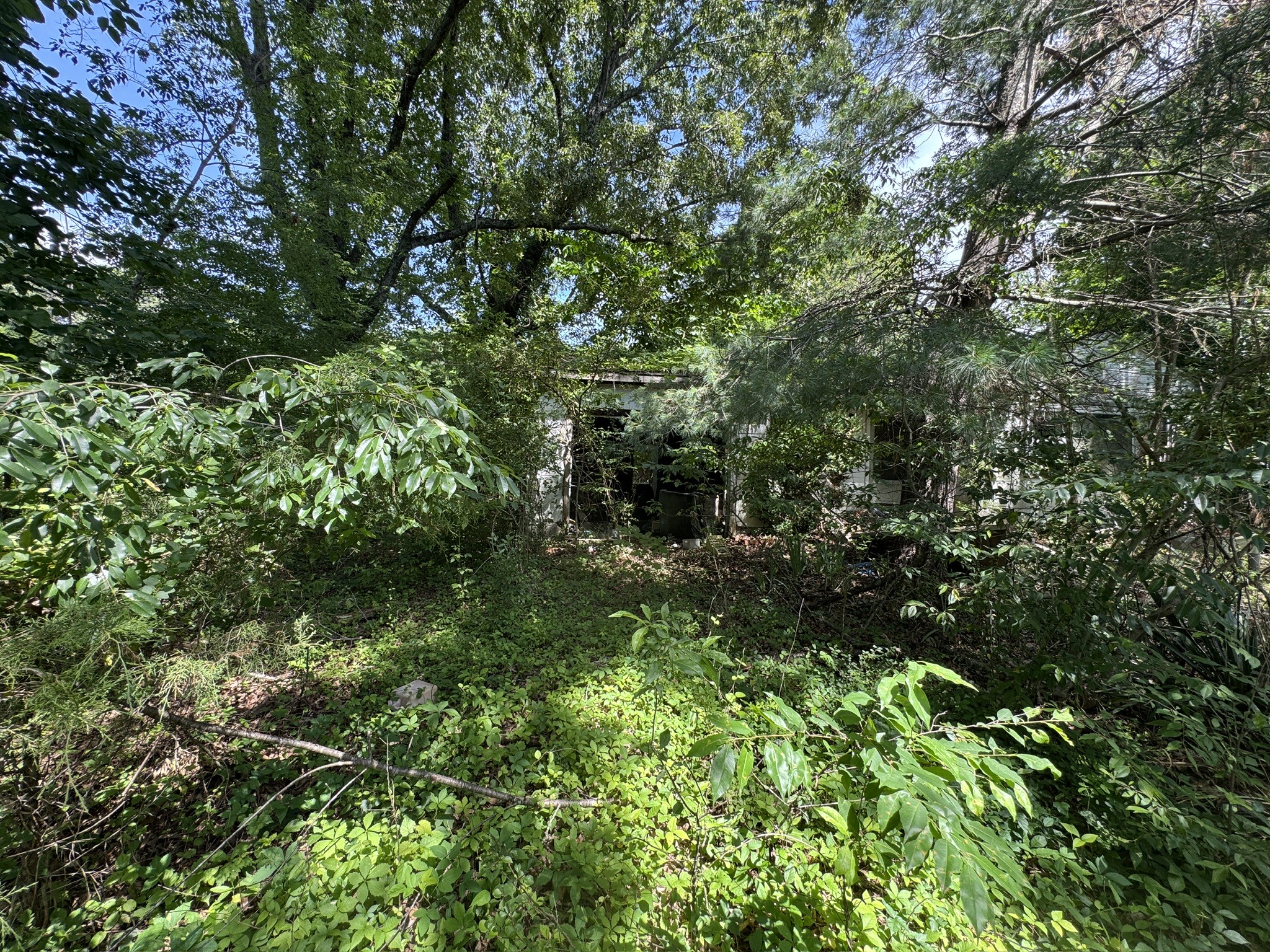 Homes for sale in Summertown, TN | 9108 Hwy 20, Summertown, TN 38483 | MLS# 3285676